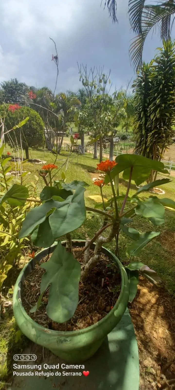 Garden in Pousada Refugio do Serrano