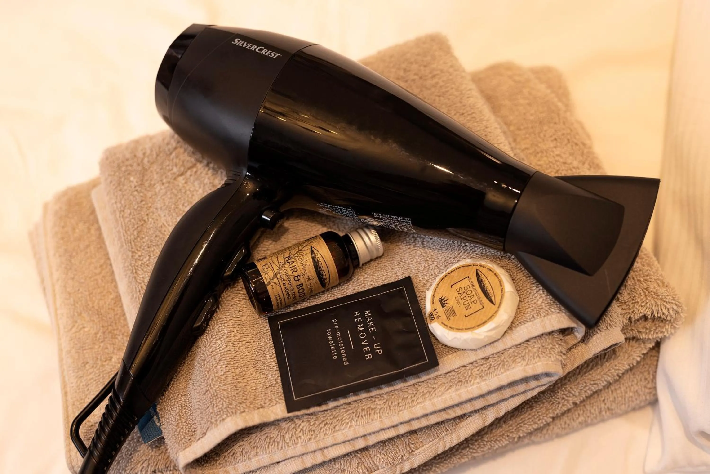 hair dryier in Molloys Apartments