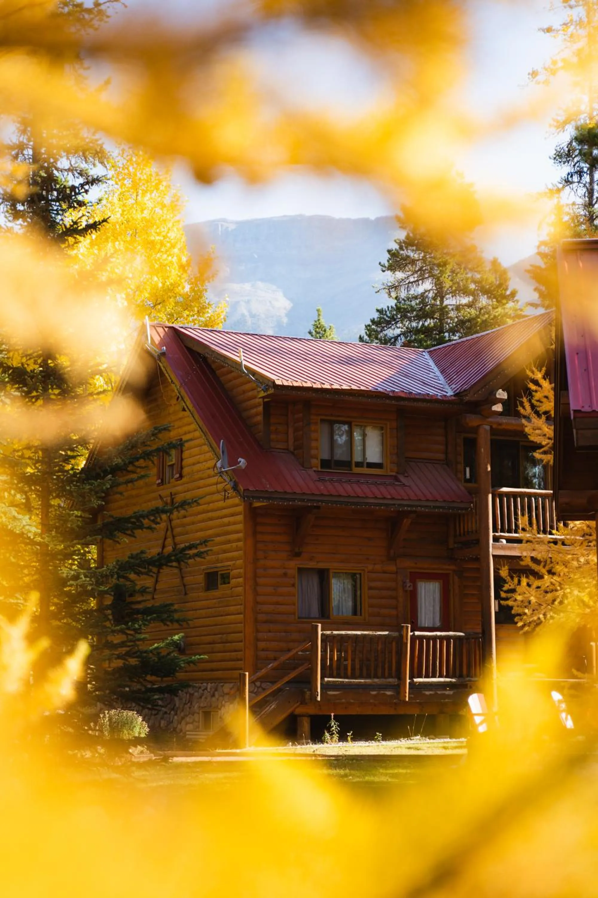 Property building in Baker Creek By Basecamp