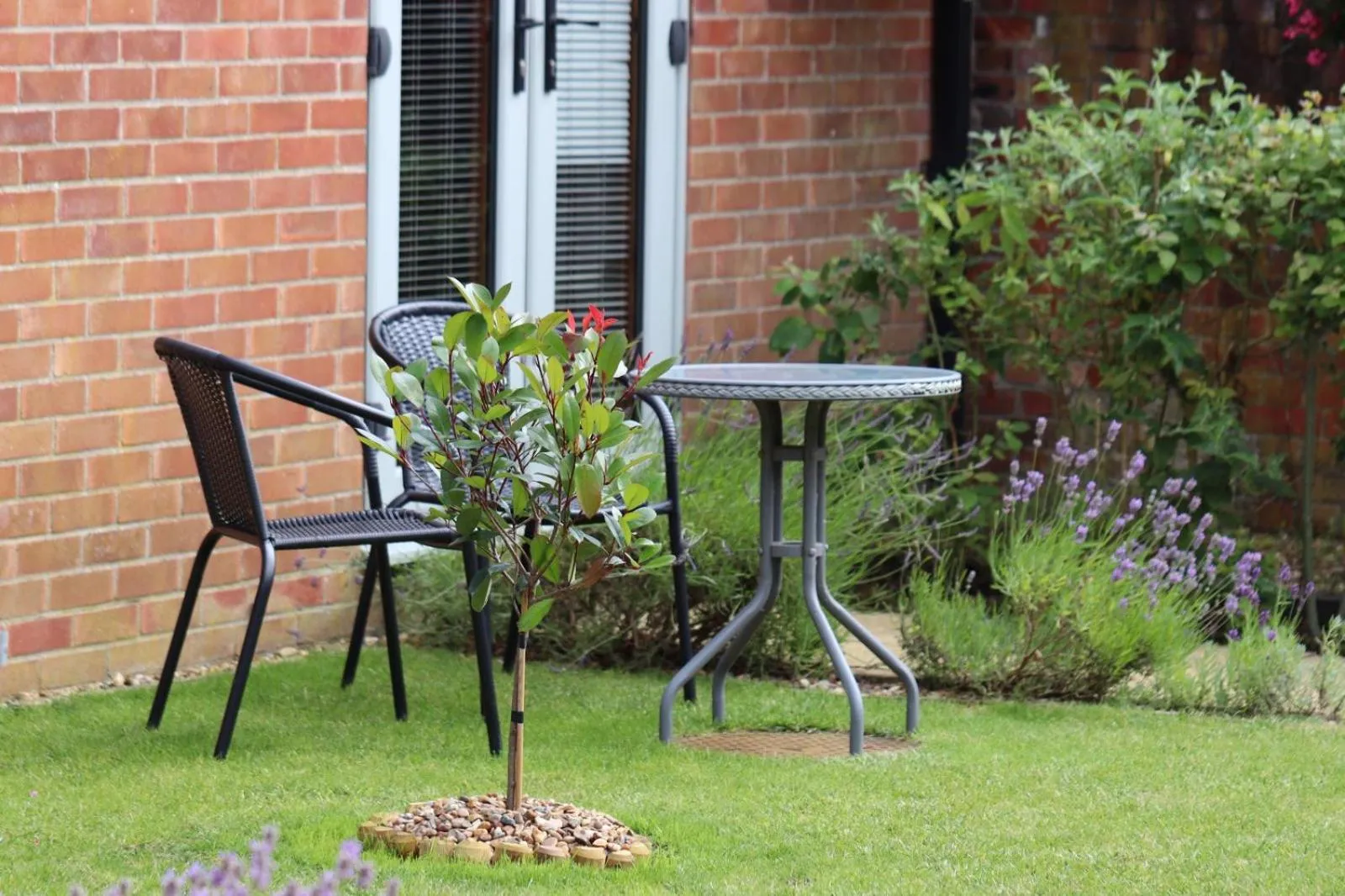 Garden view in Grove Barn Bed and Breakfast