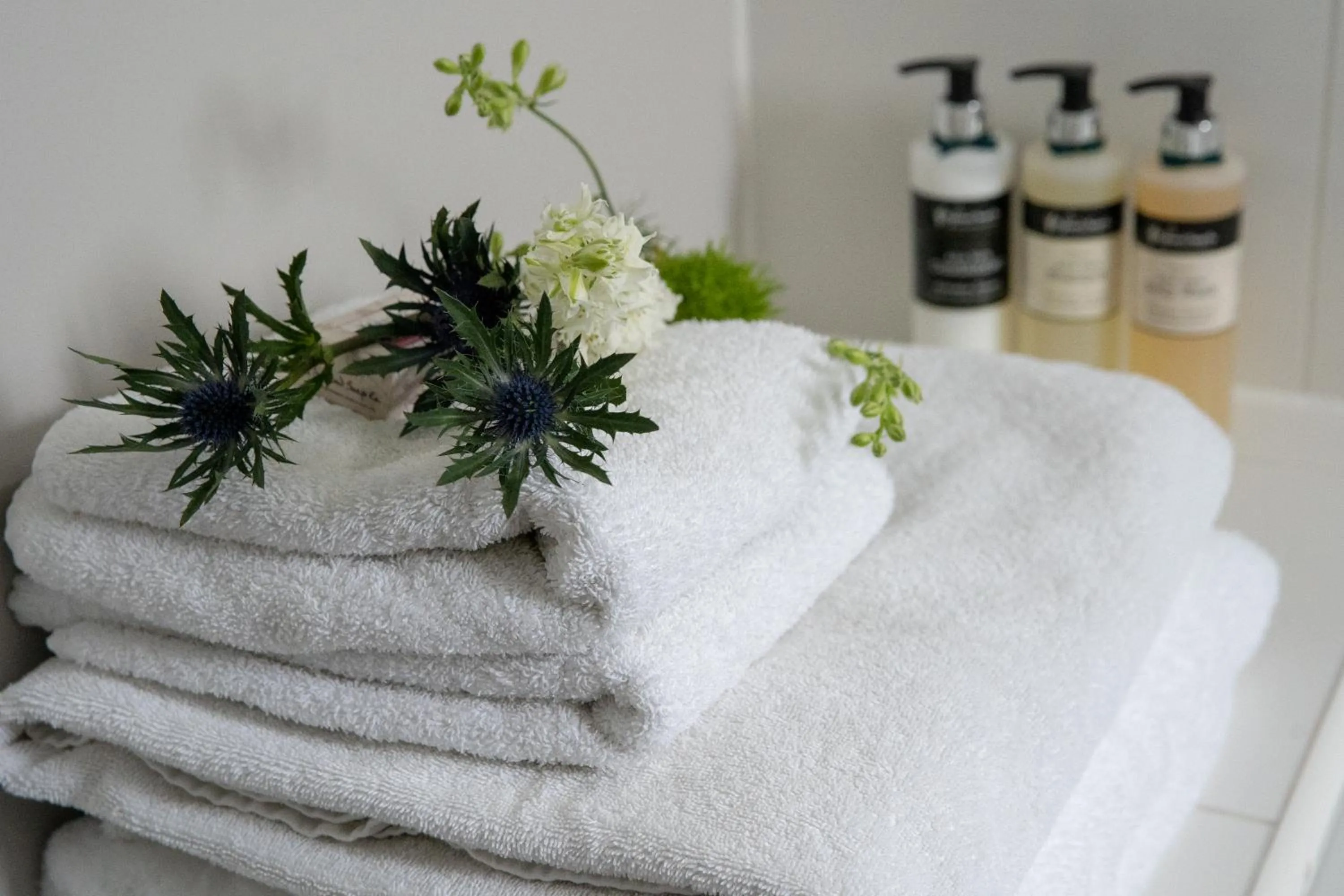 Bathroom in Hame on Skye