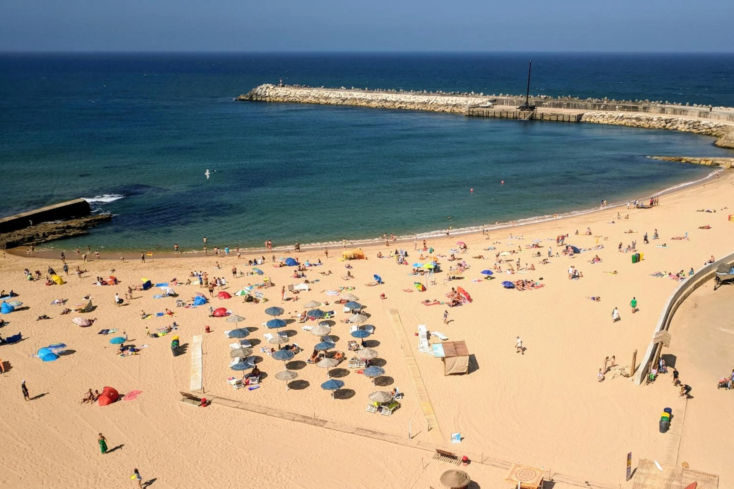 Nearby landmark in Vila Mafra - Grill Terrace