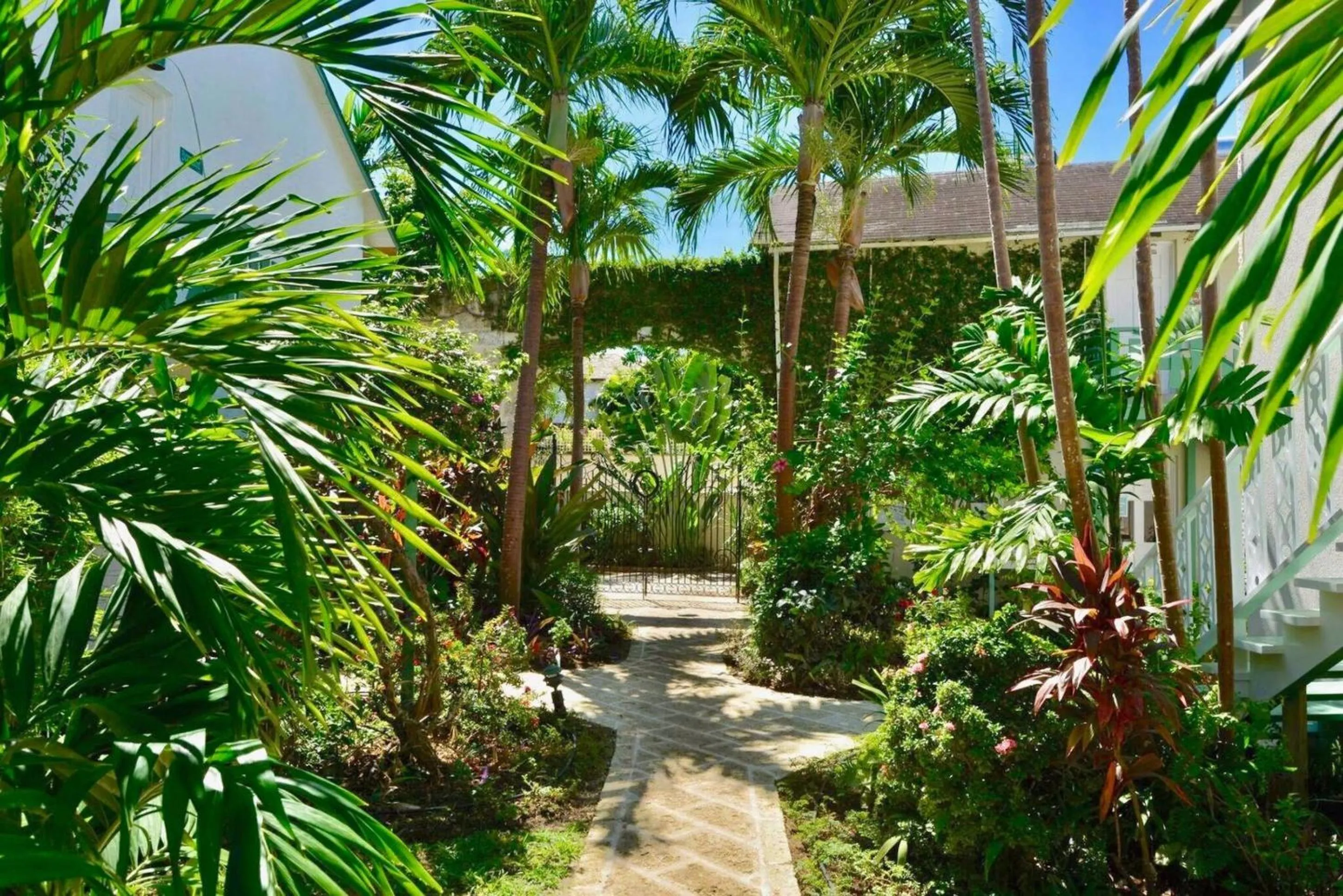 Patio in Cobblers Cove - Barbados