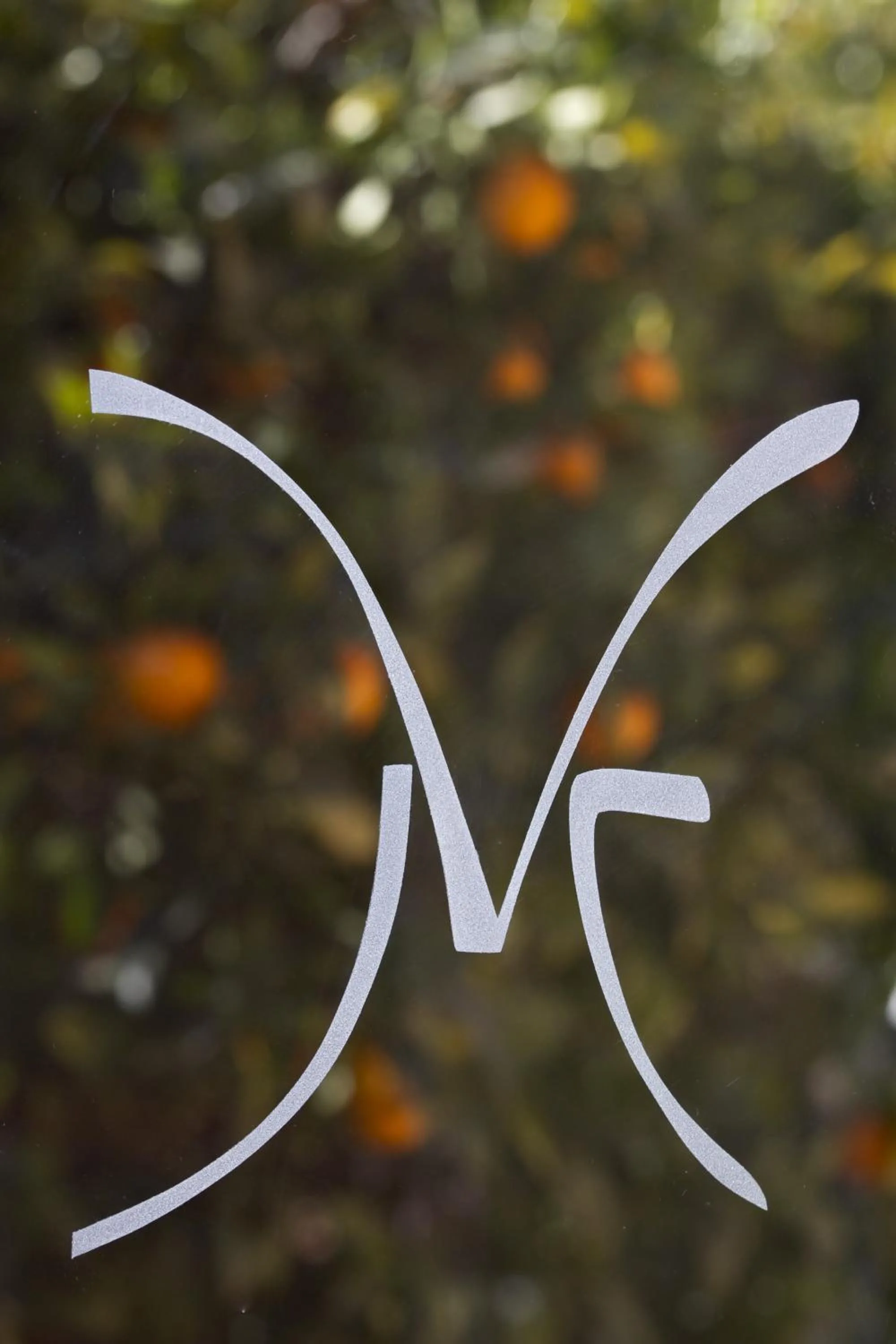 Facade/entrance in La Villa Mandarine