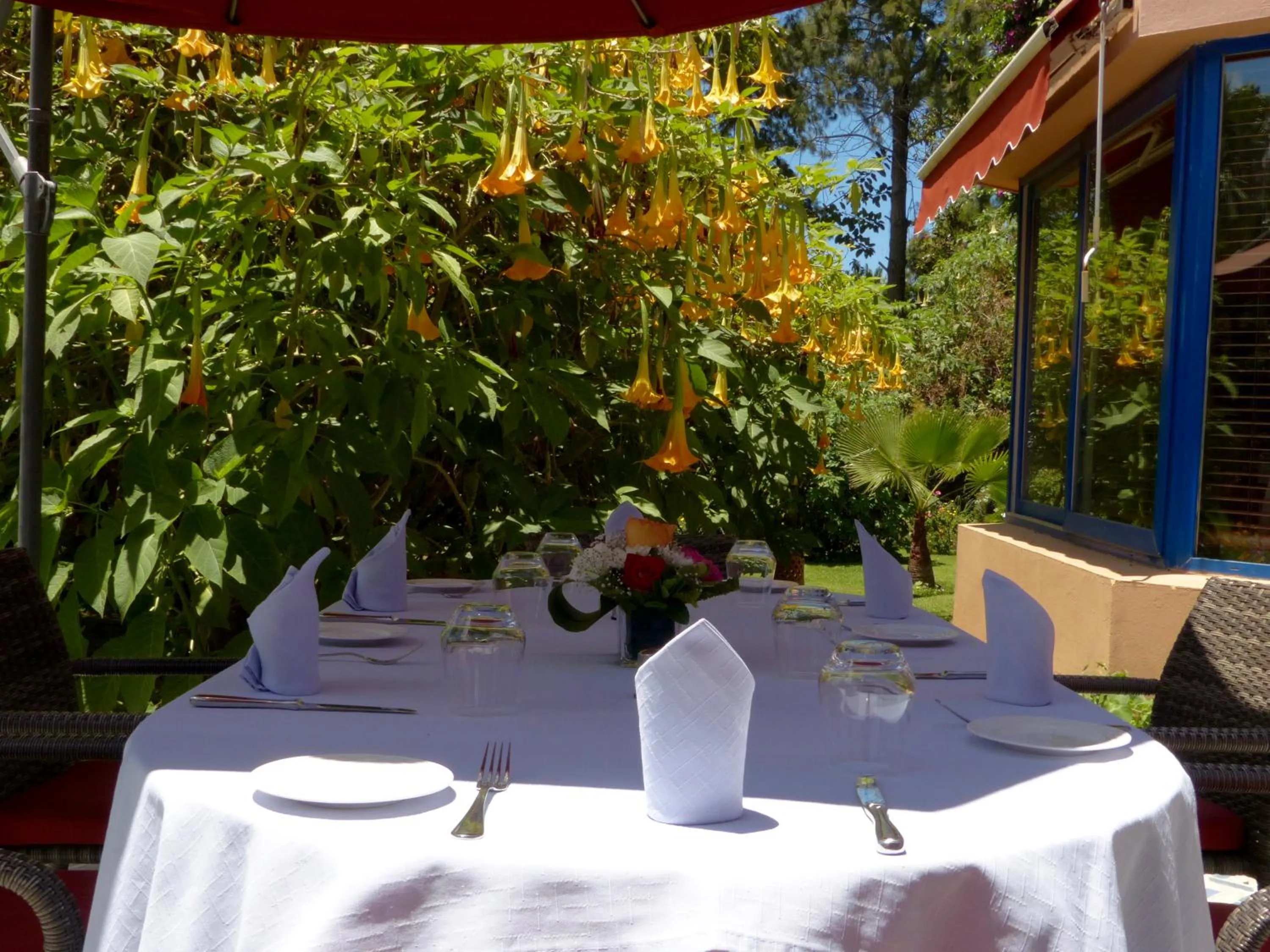 Patio in La Villa Mandarine