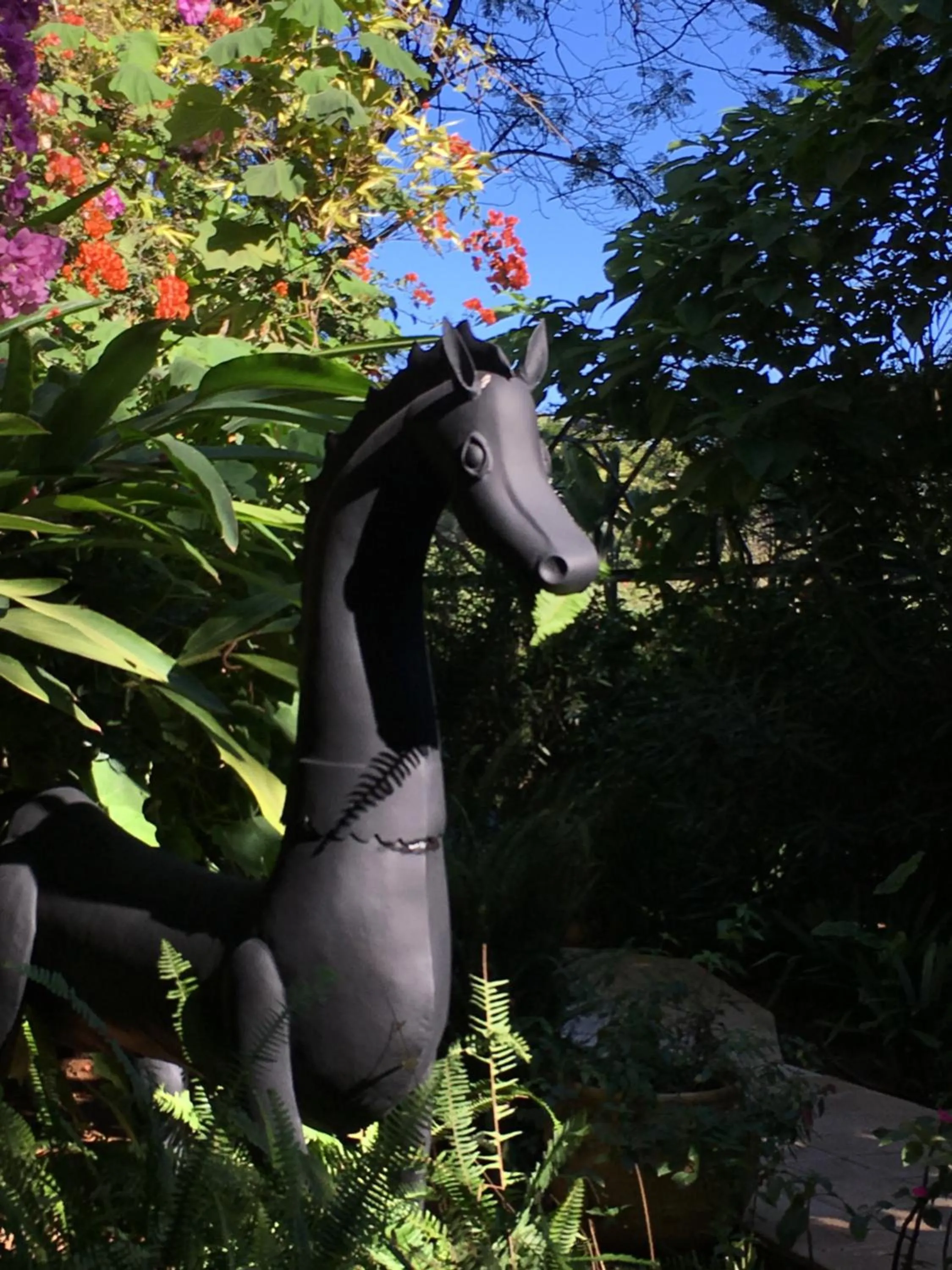 Garden in La Villa Mandarine