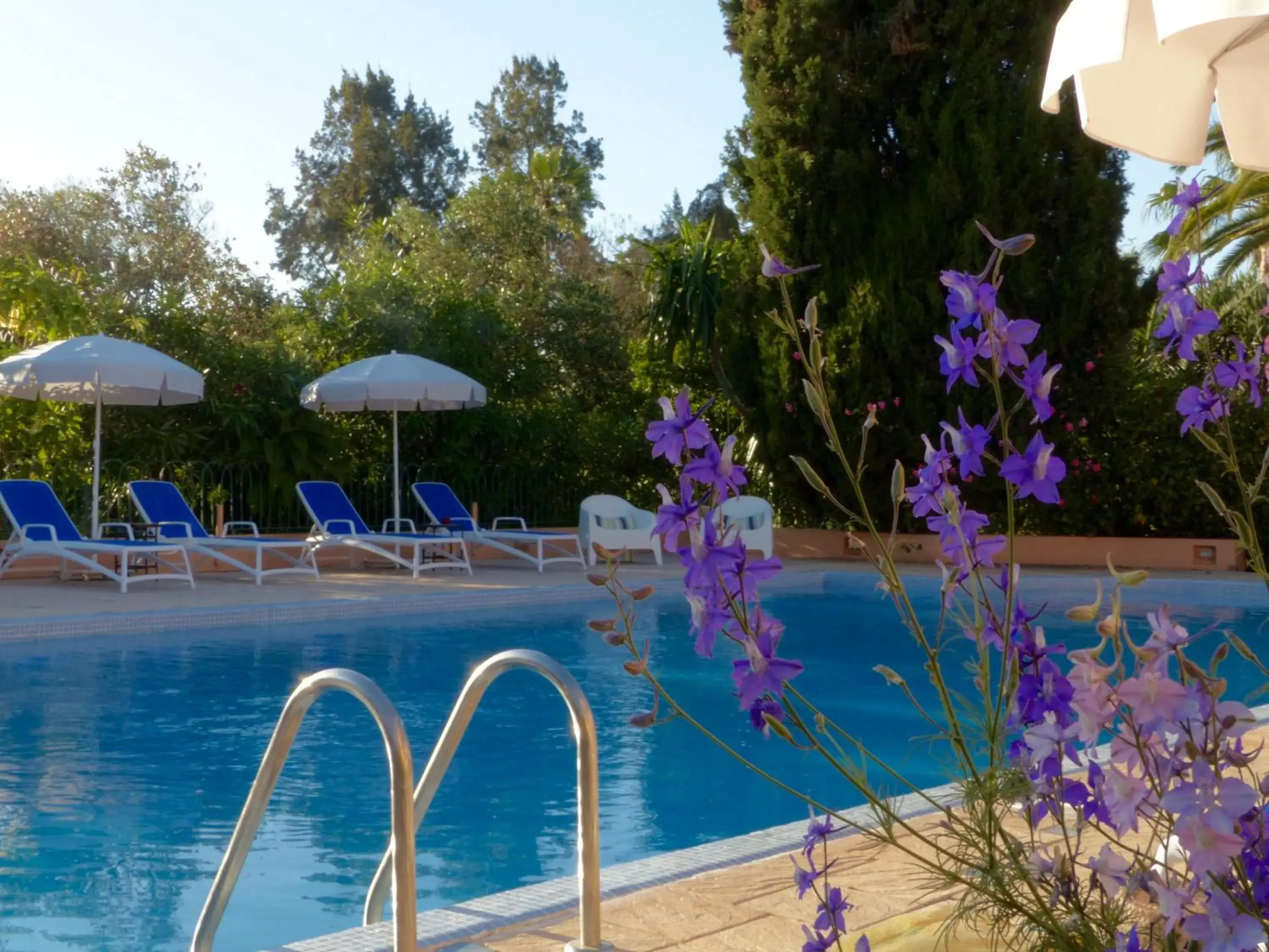 Pool view in La Villa Mandarine Pool view in La Villa Mandarine