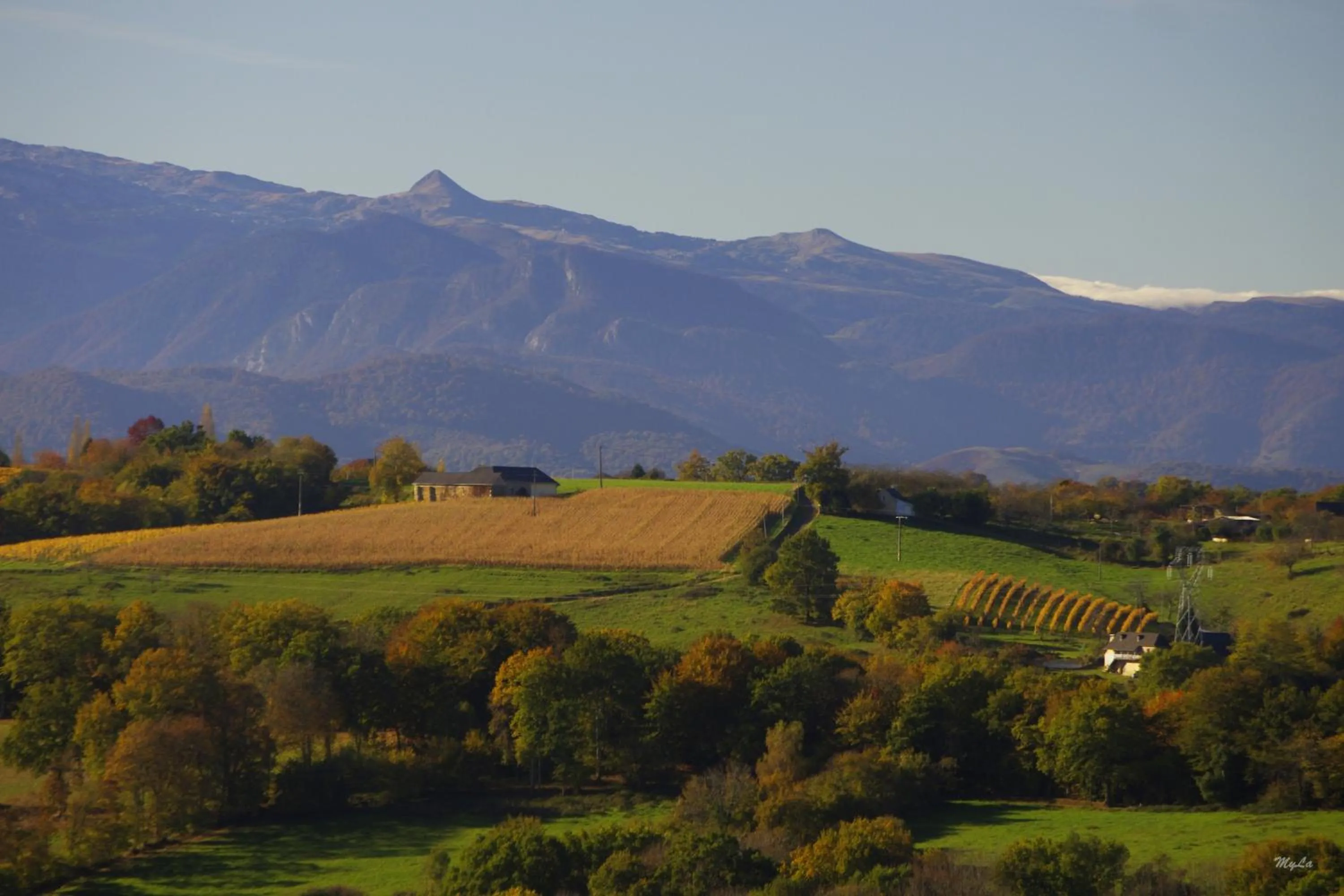 Property building in Pesaulhé