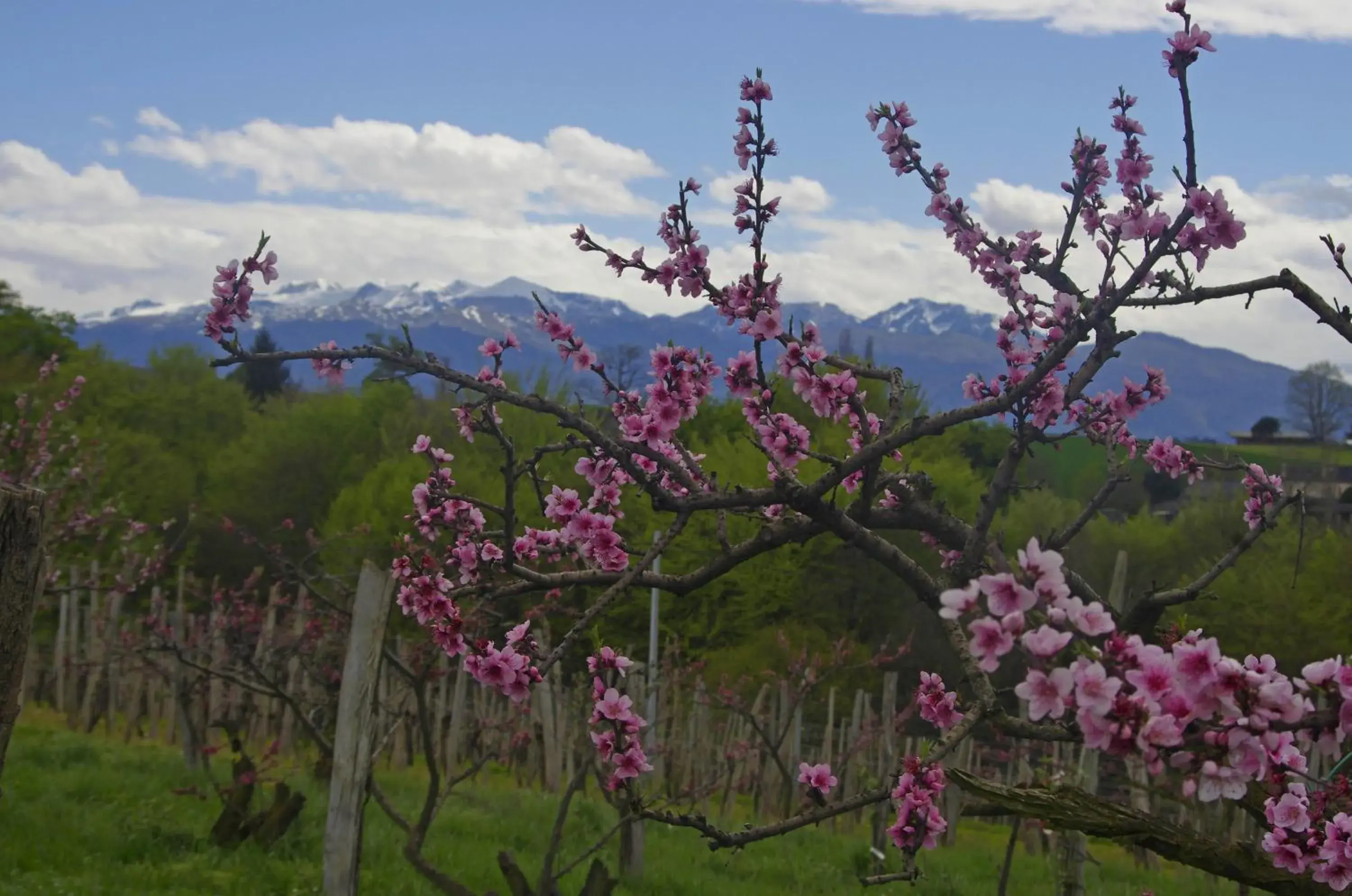 Two-Bedroom Suite - single occupancy in Pesaulhé Two-Bedroom Suite - single occupancy in Pesaulhé