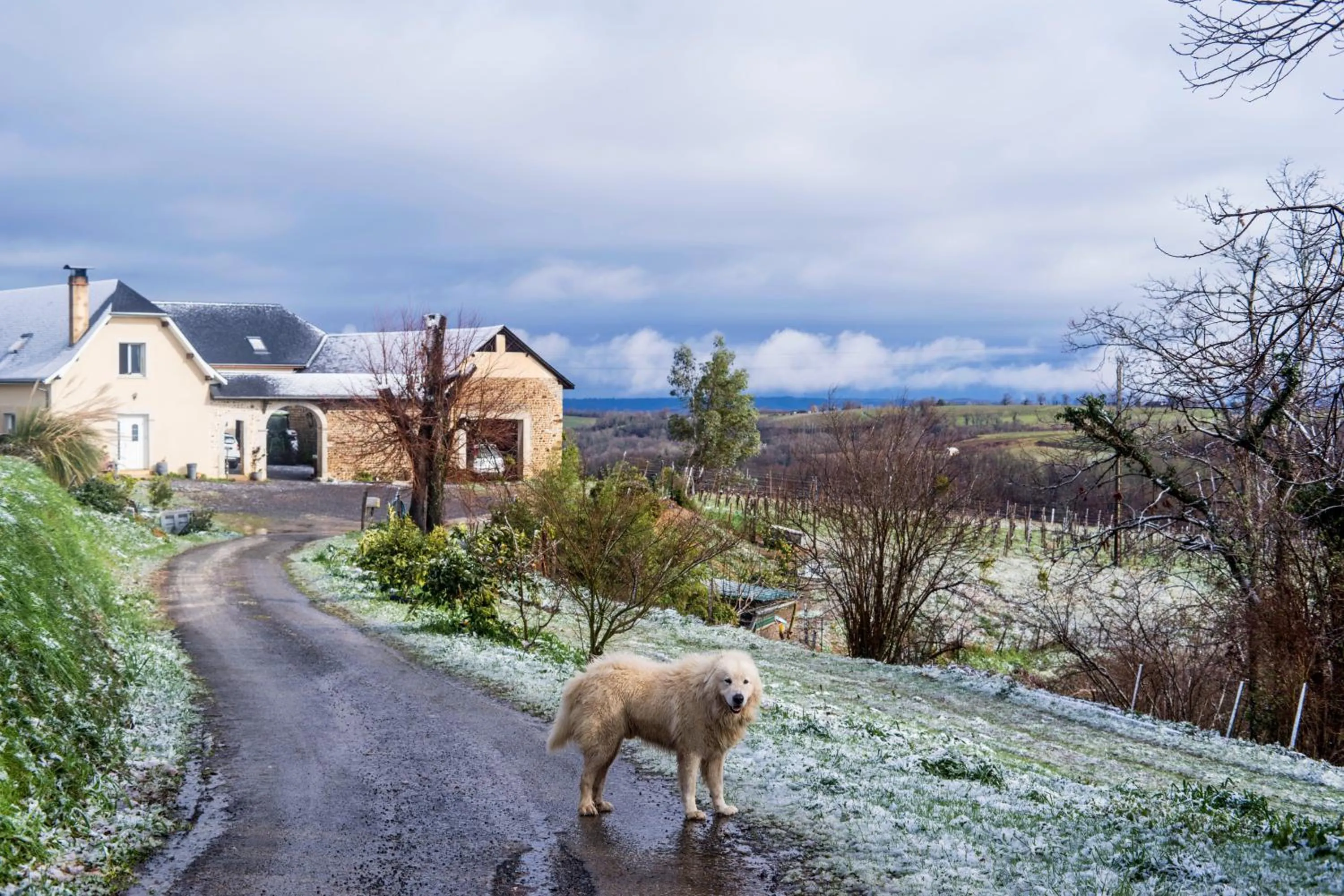 Property building in Pesaulhé