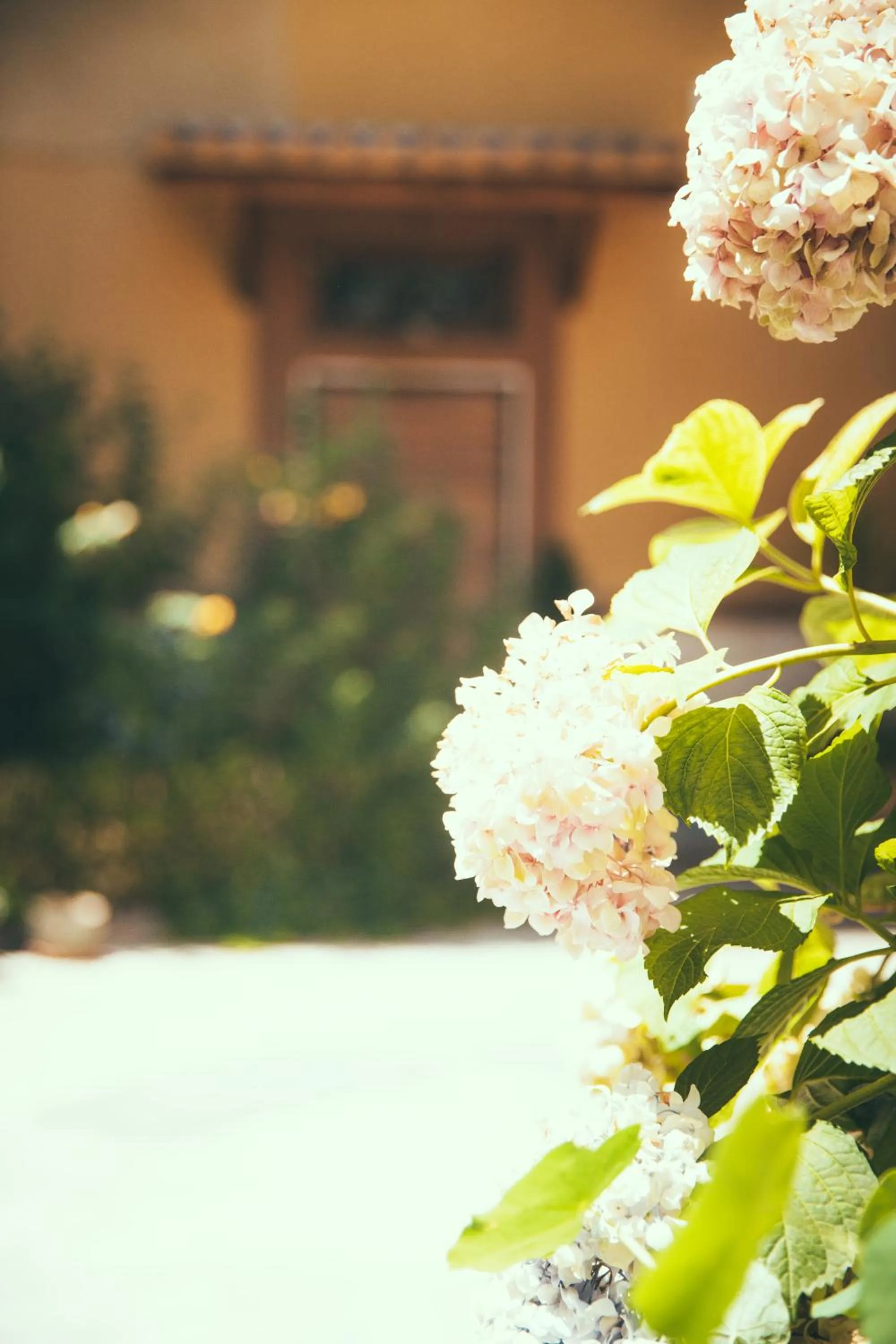 Lighthouse Suites Trastevere