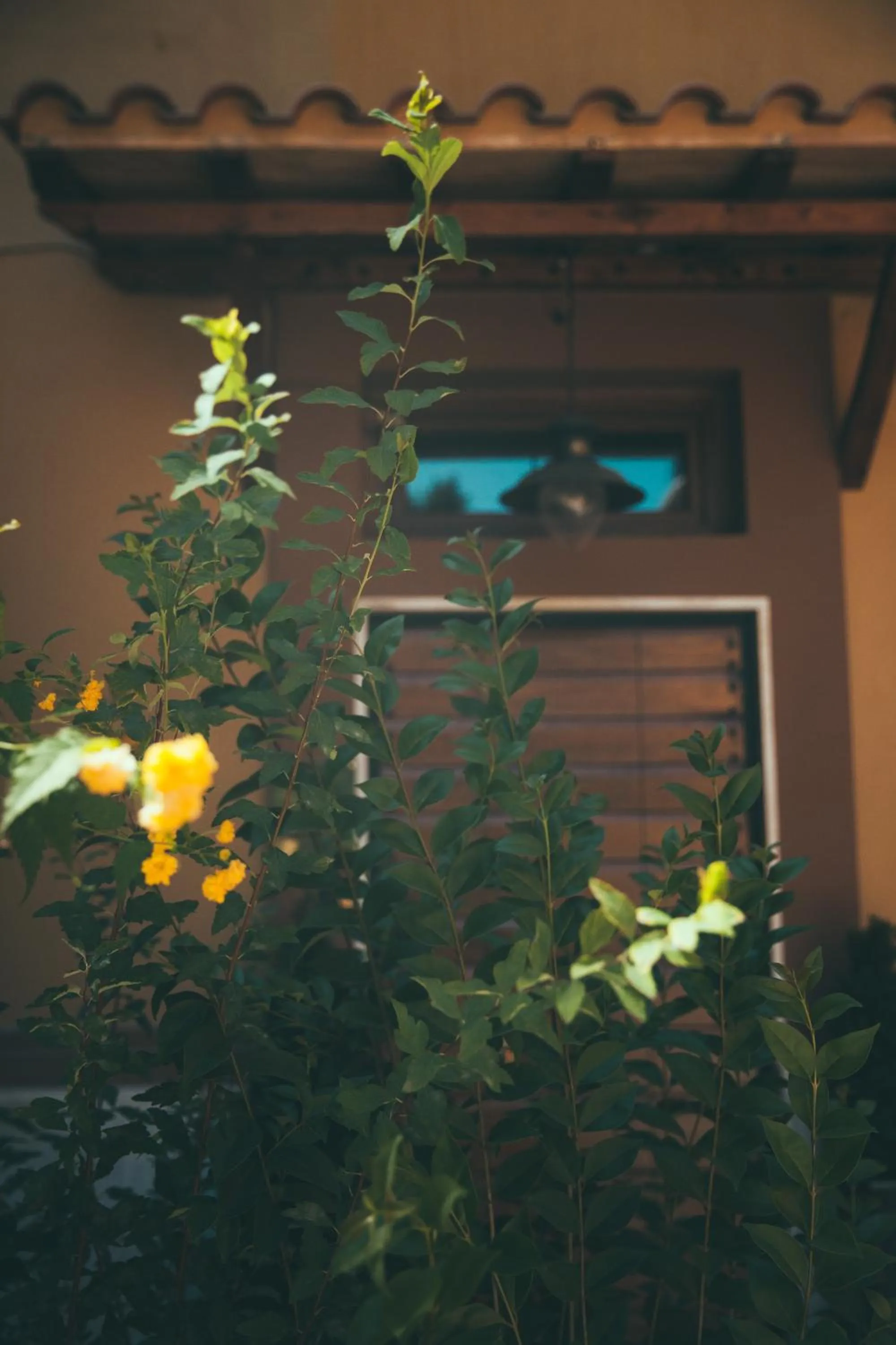 Lighthouse Suites Trastevere