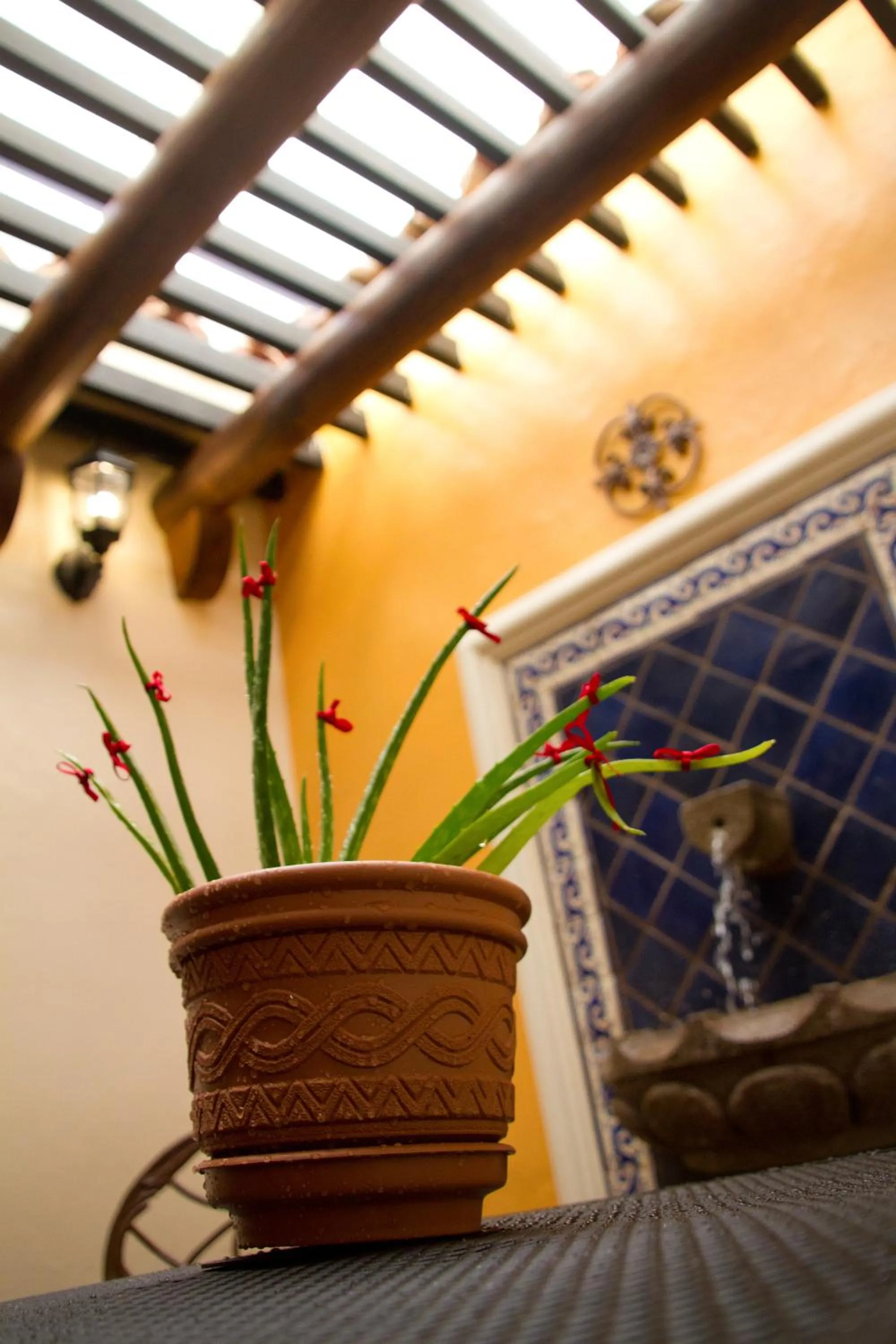 Day in Casa de los Arcángeles