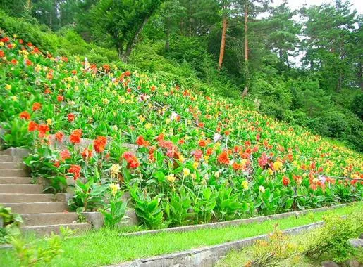 Garden in Nozawa Grand Hotel