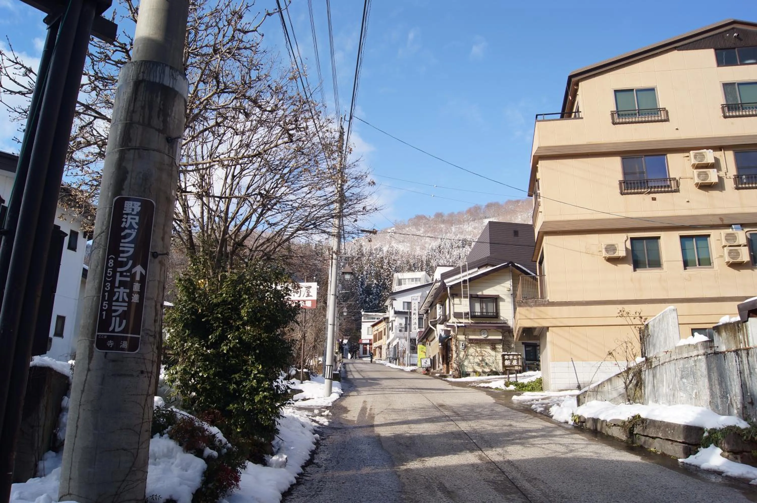 Neighbourhood in Nozawa Grand Hotel
