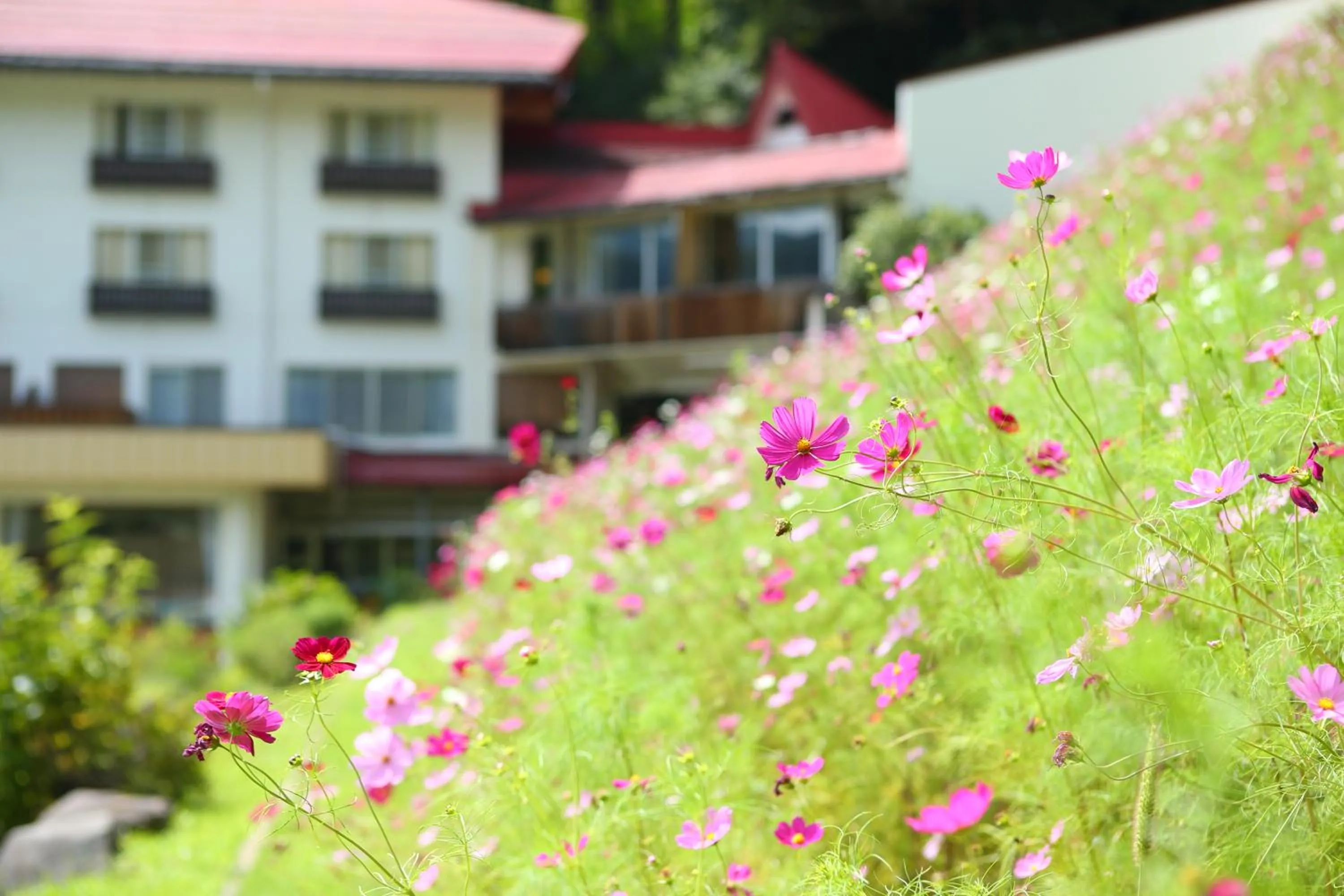 Property building in Nozawa Grand Hotel