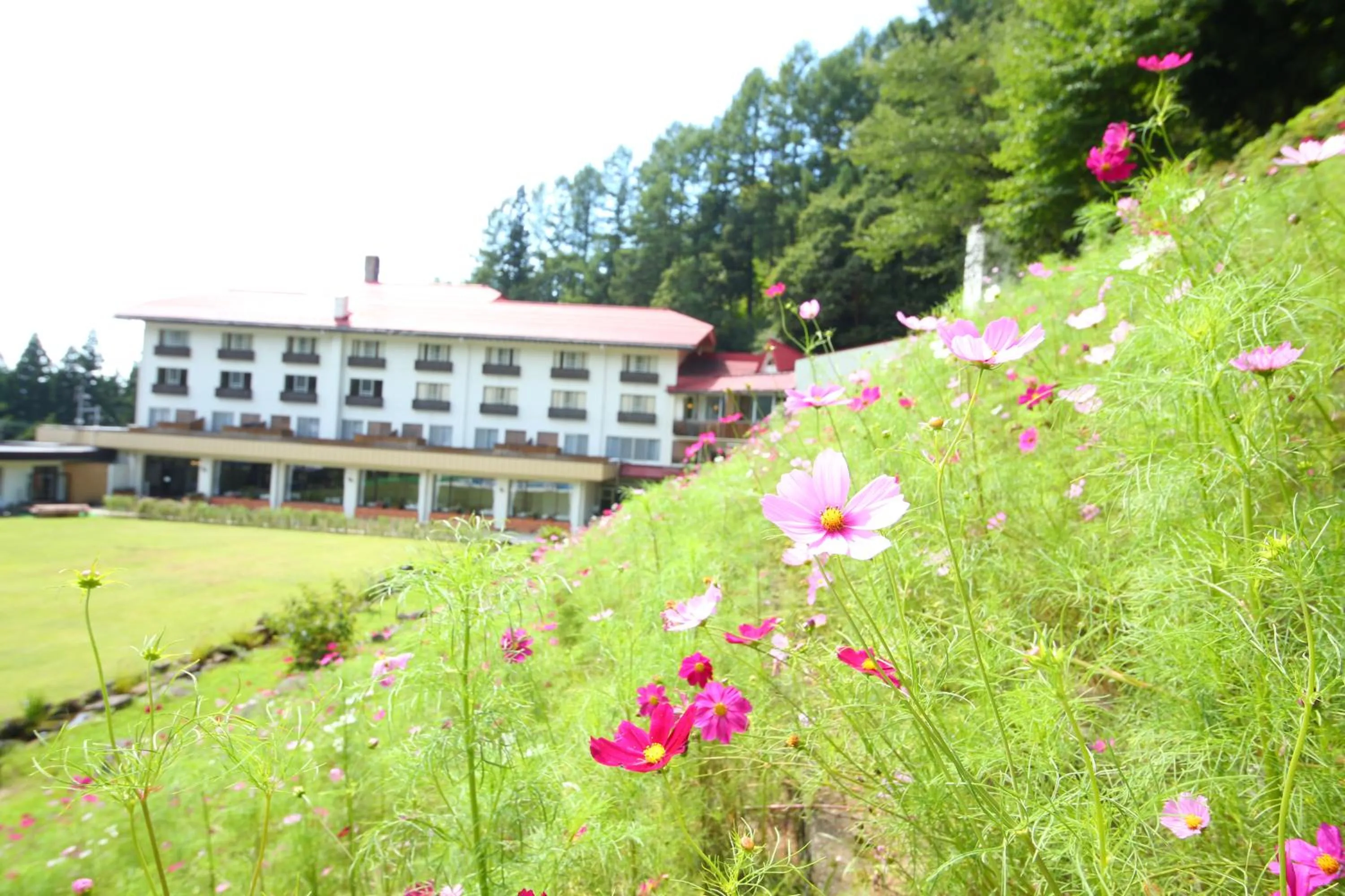 Property building in Nozawa Grand Hotel