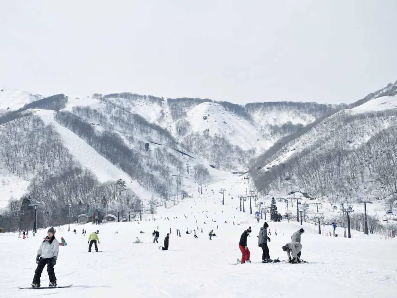 Skiing in Hakuba Park Hotel