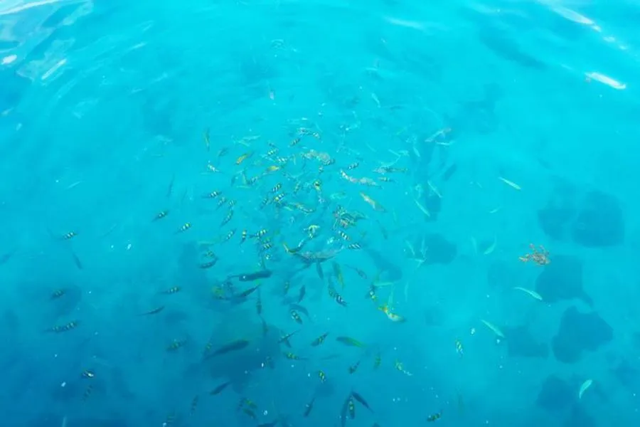 Activities in Makathanee Resort