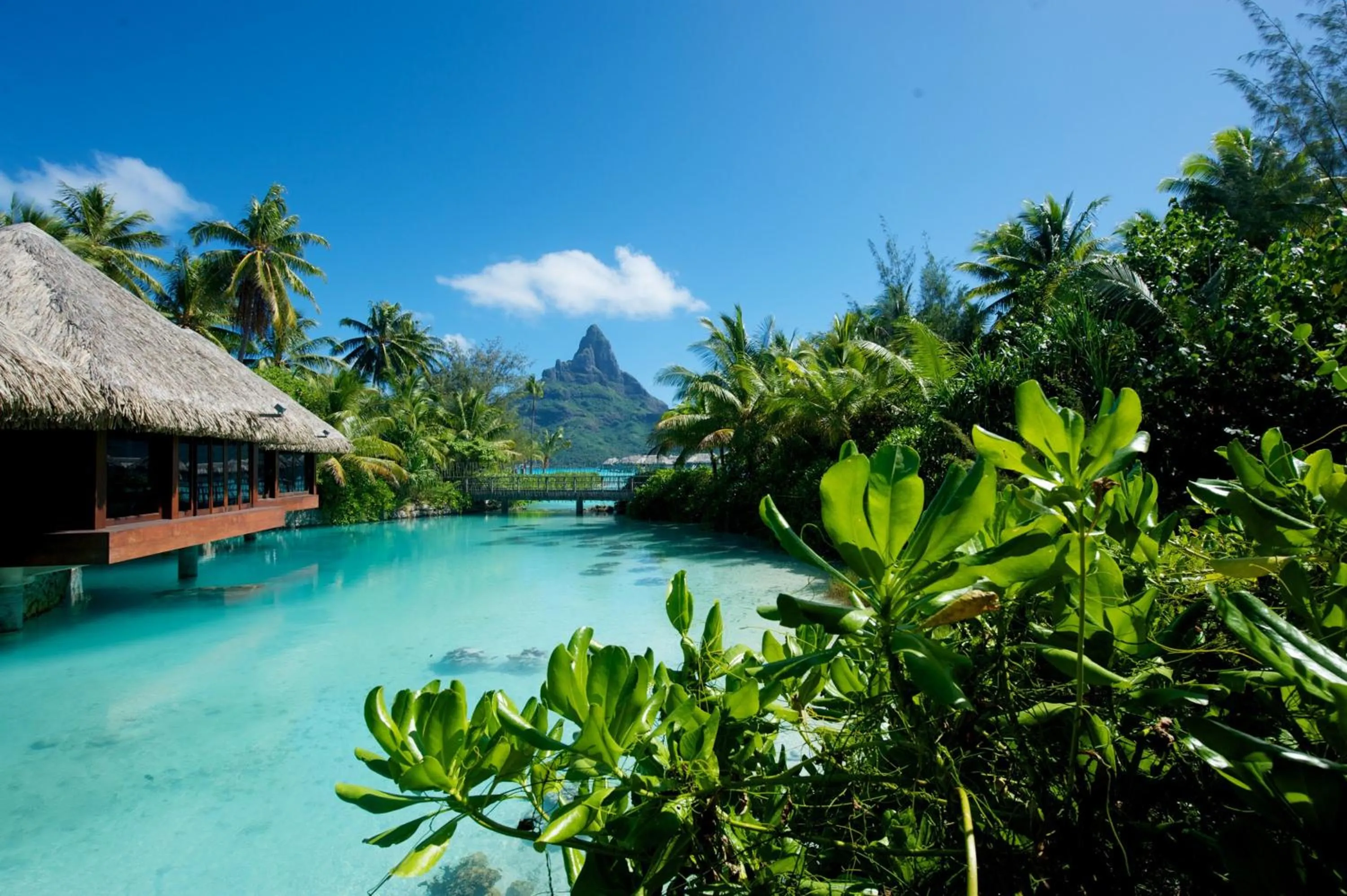 Swimming pool in InterContinental Bora Bora & Thalasso Spa by IHG