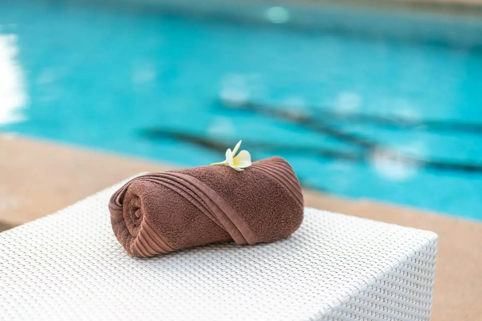 Swimming pool in Marbela Beach Resort Swimming pool in Marbela Beach Resort