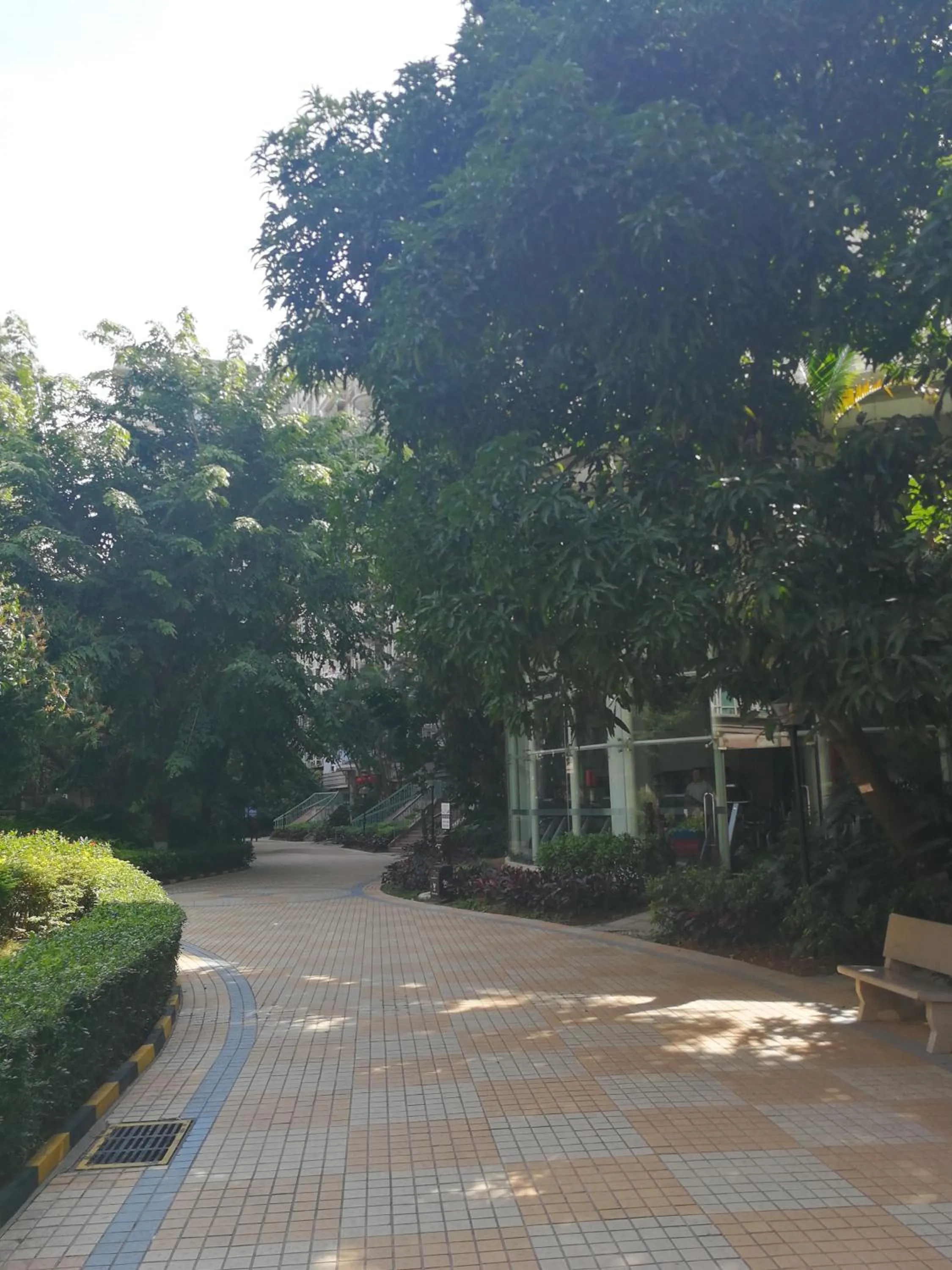 Day in Shenzhen New Swan Castle Apartment