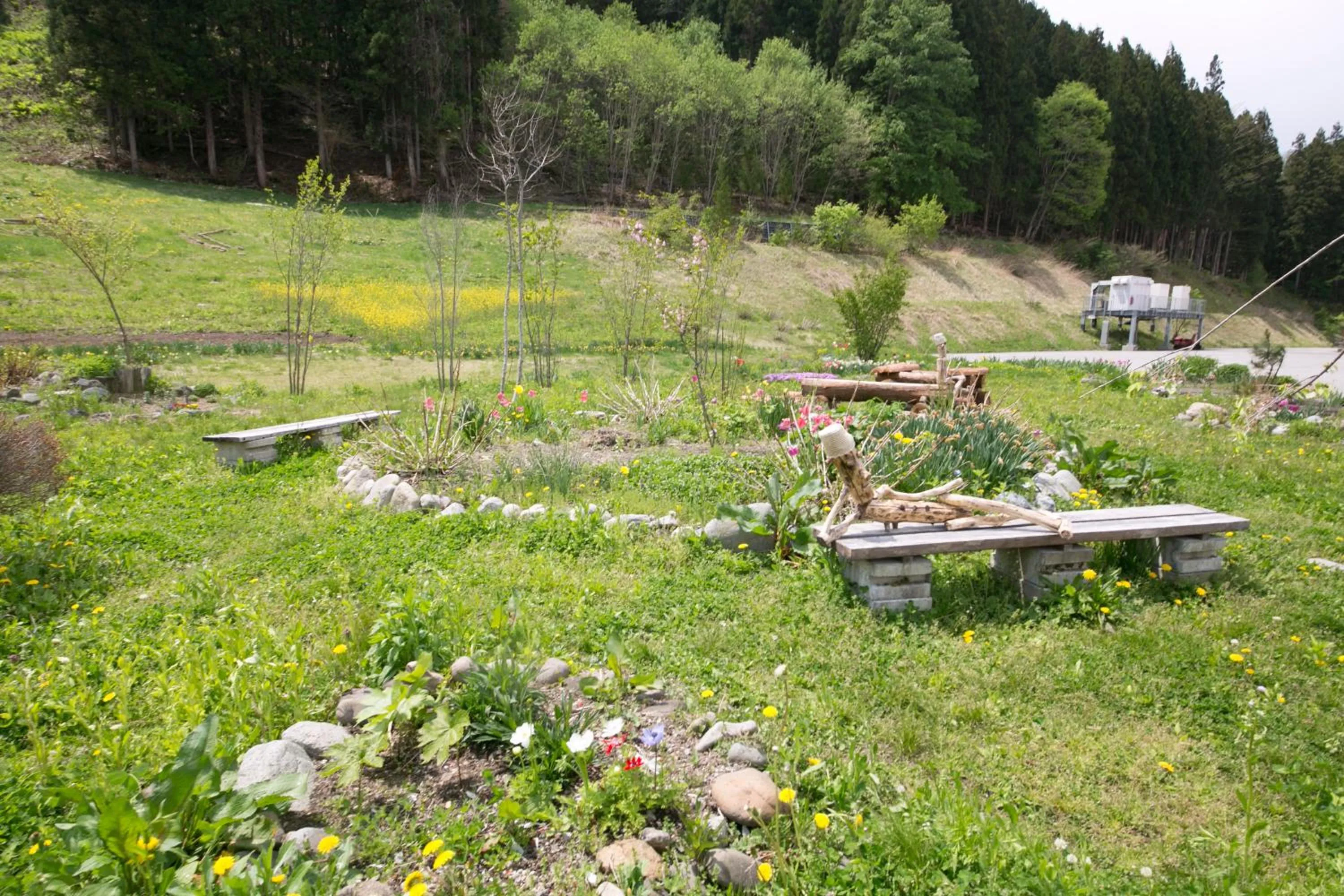 Garden in Hakuba Highland Hotel