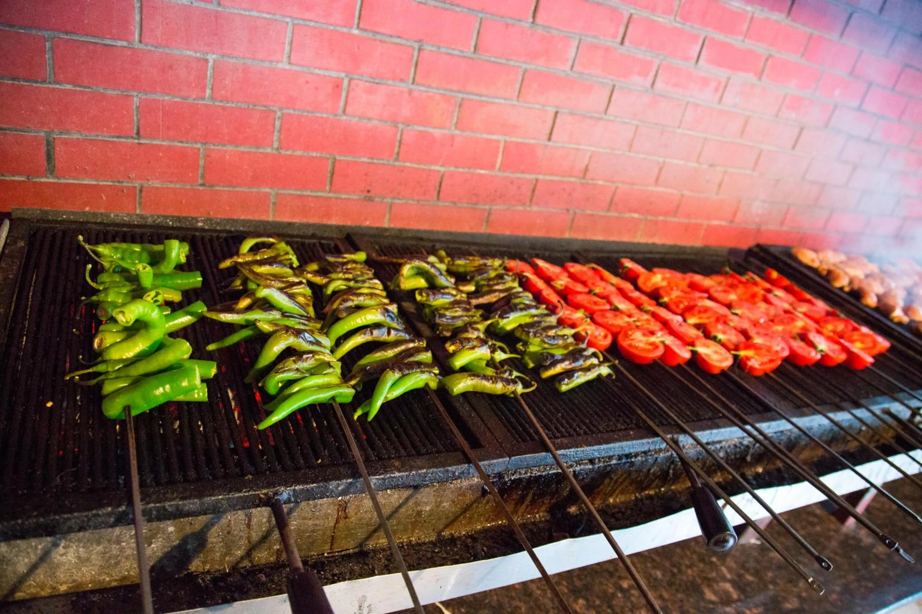 BBQ facilities in Eldar Resort Hotel
