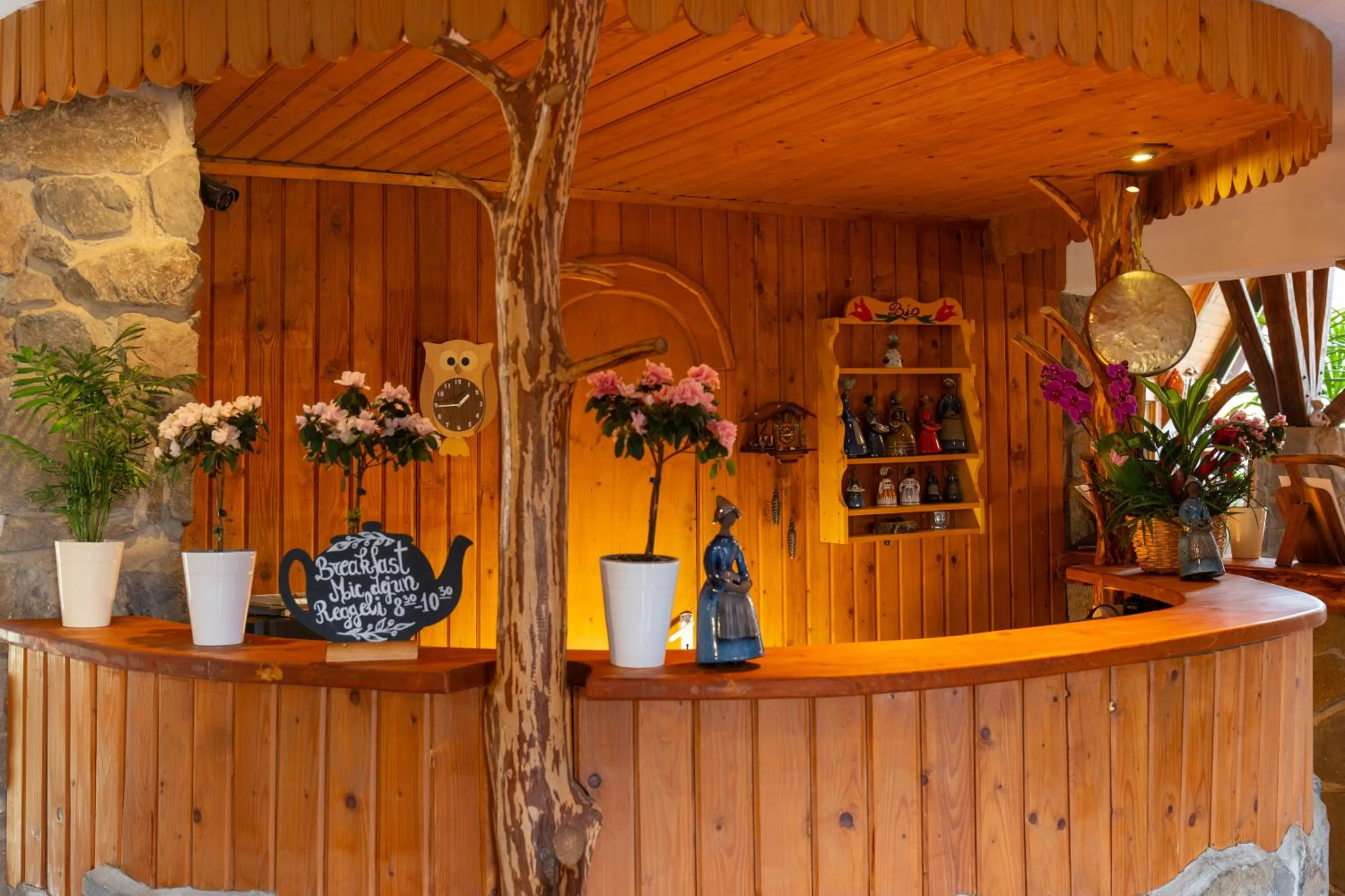 Lobby or reception in Fortuna Eco - Boutique Hotel