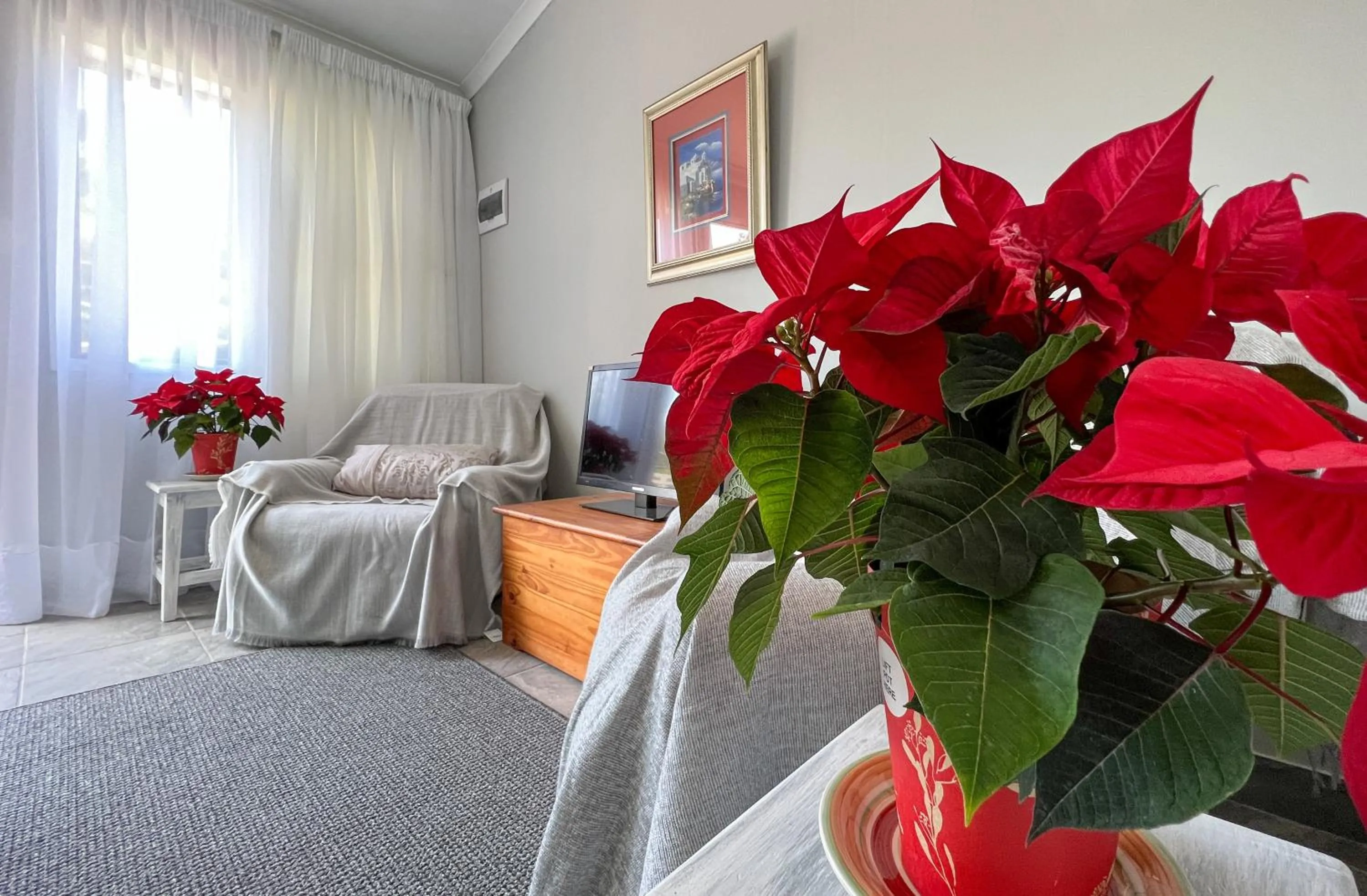 Living room in Voelroepersfontein