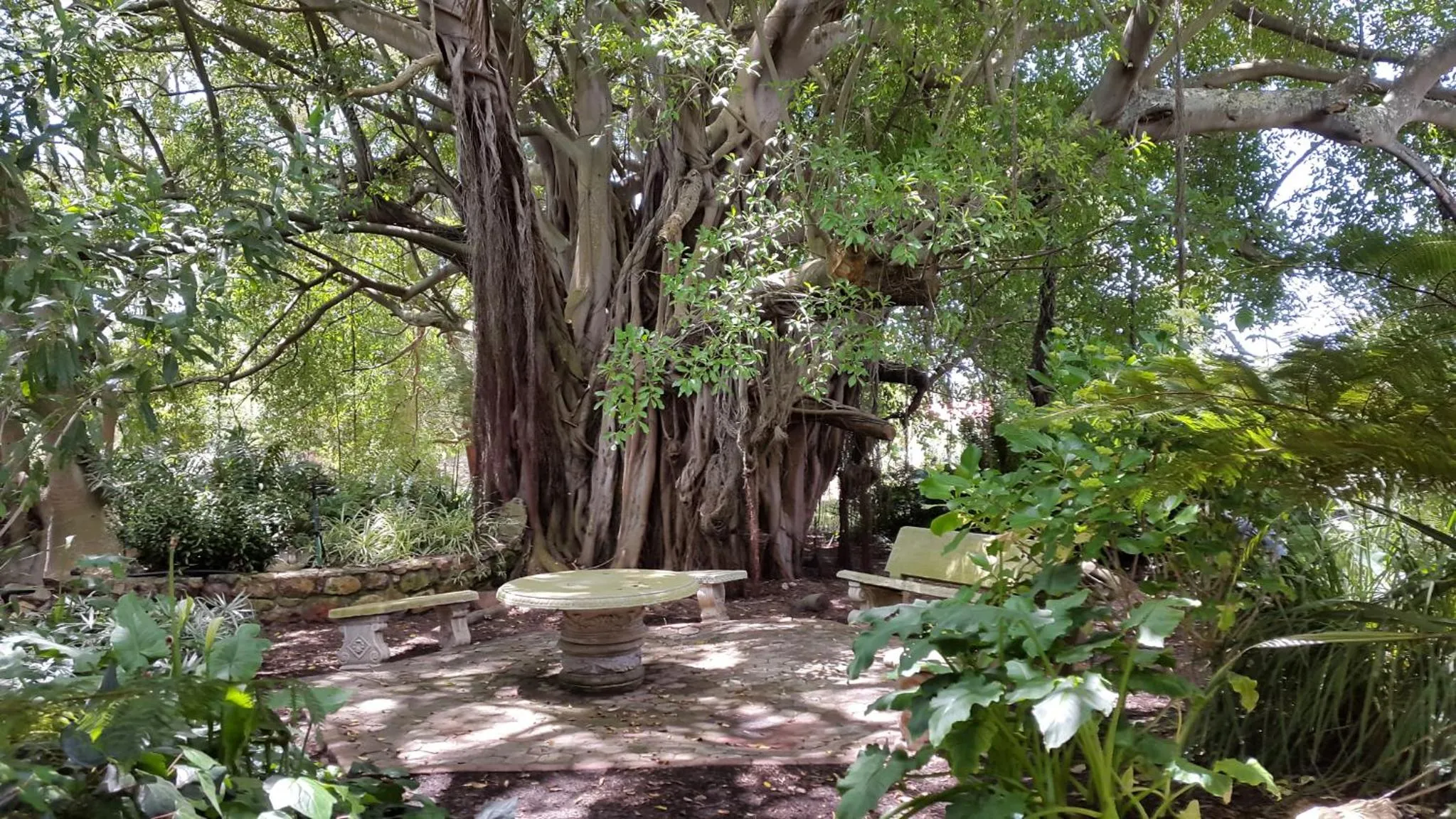 Garden in Voelroepersfontein