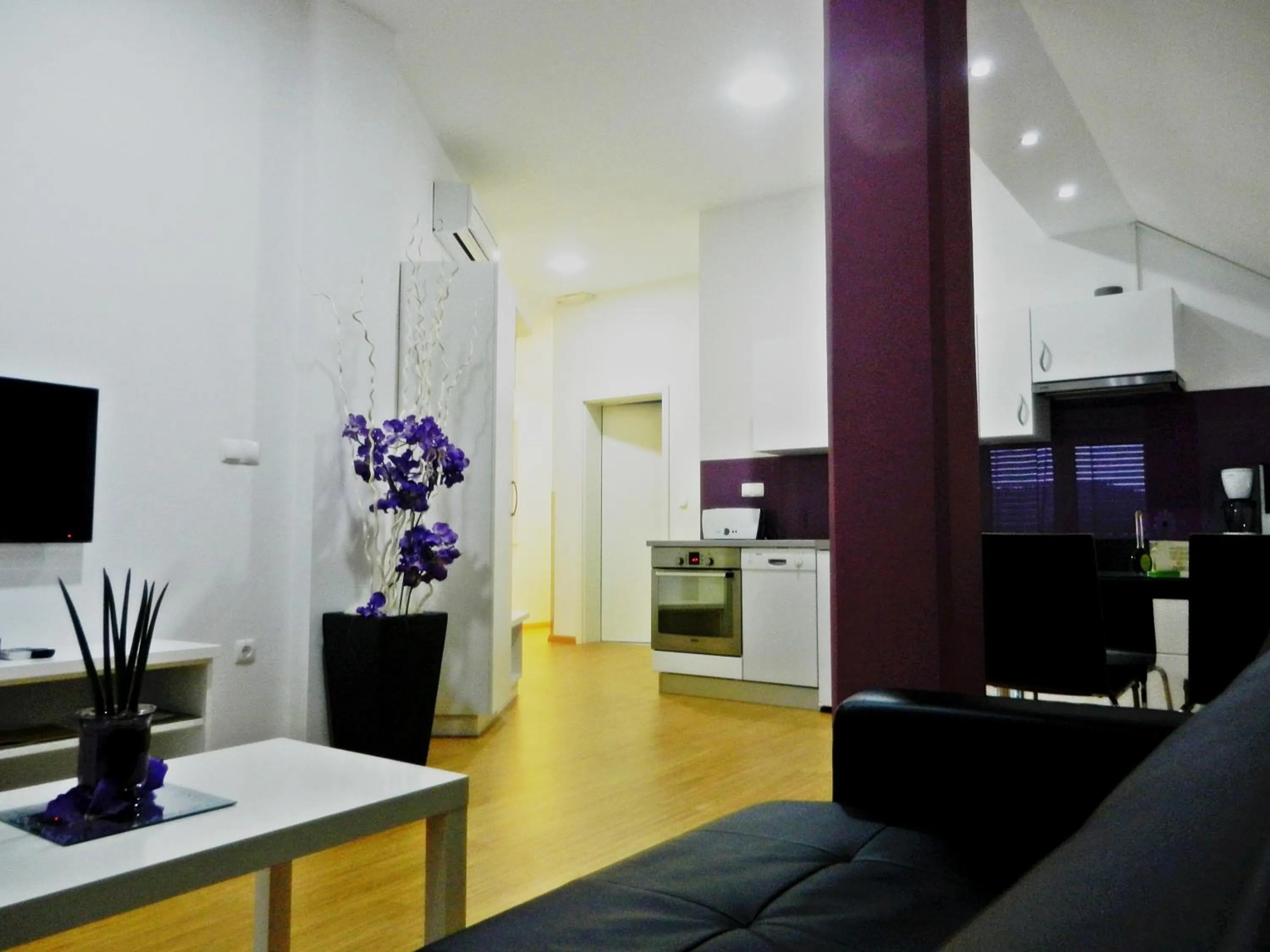 TV and multimedia in Apartments & Wellness Skok