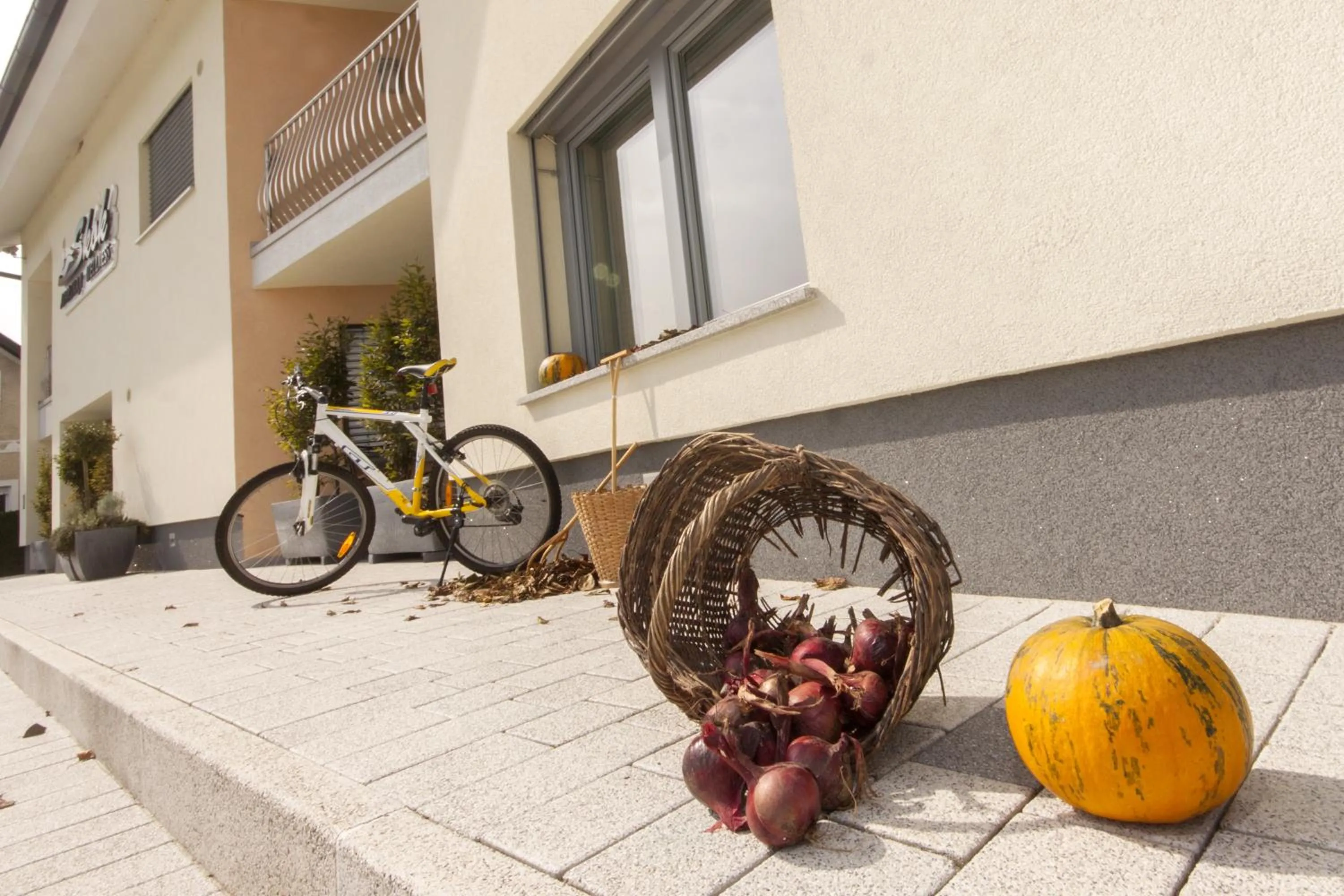 Apartments & Wellness Skok