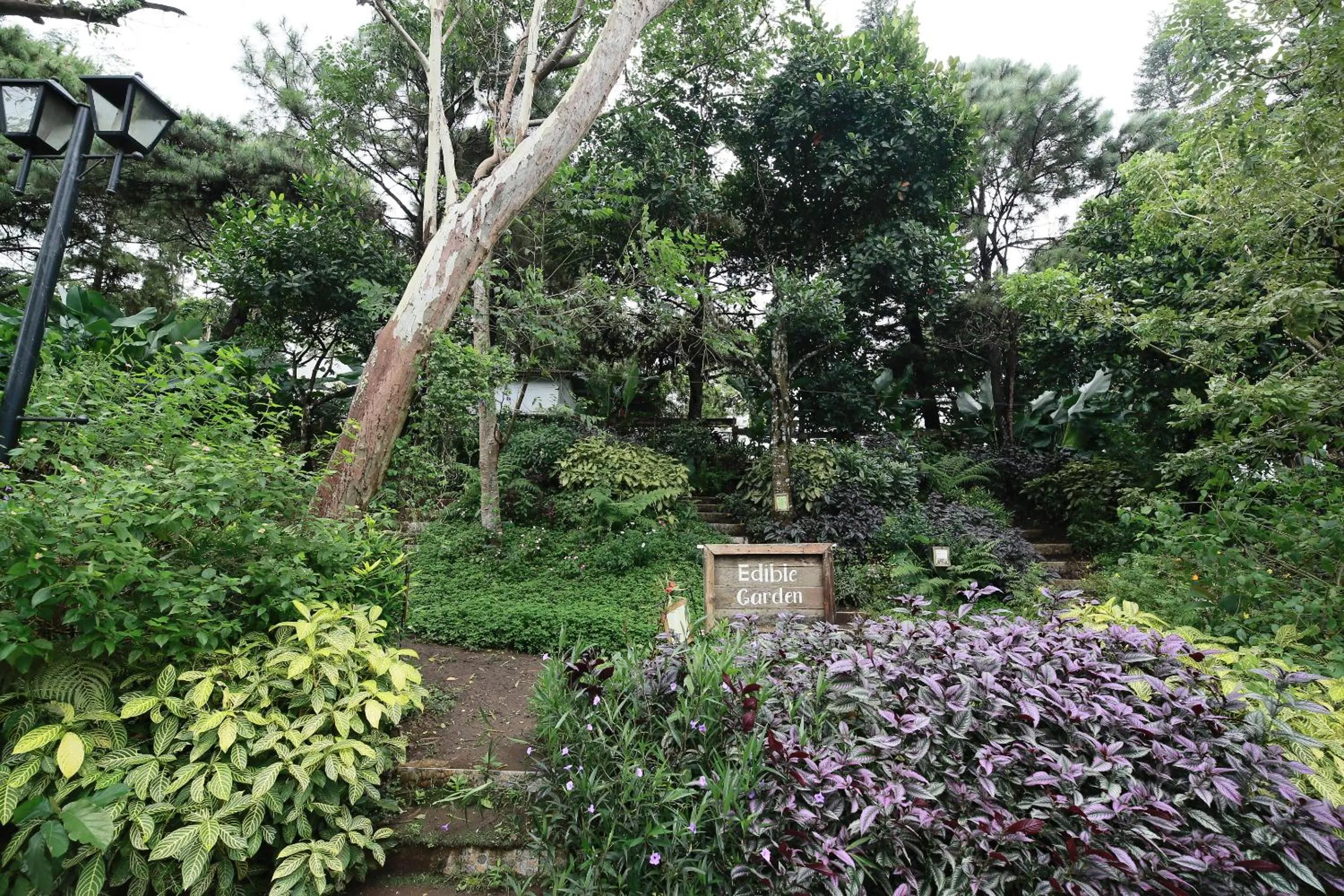 Garden in La Bella Boutique Hotel