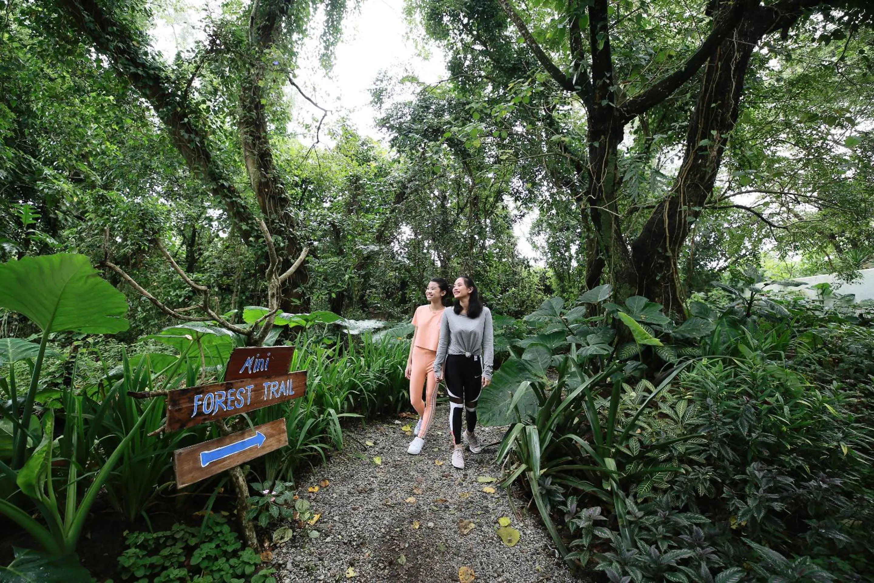 Garden in La Bella Boutique Hotel