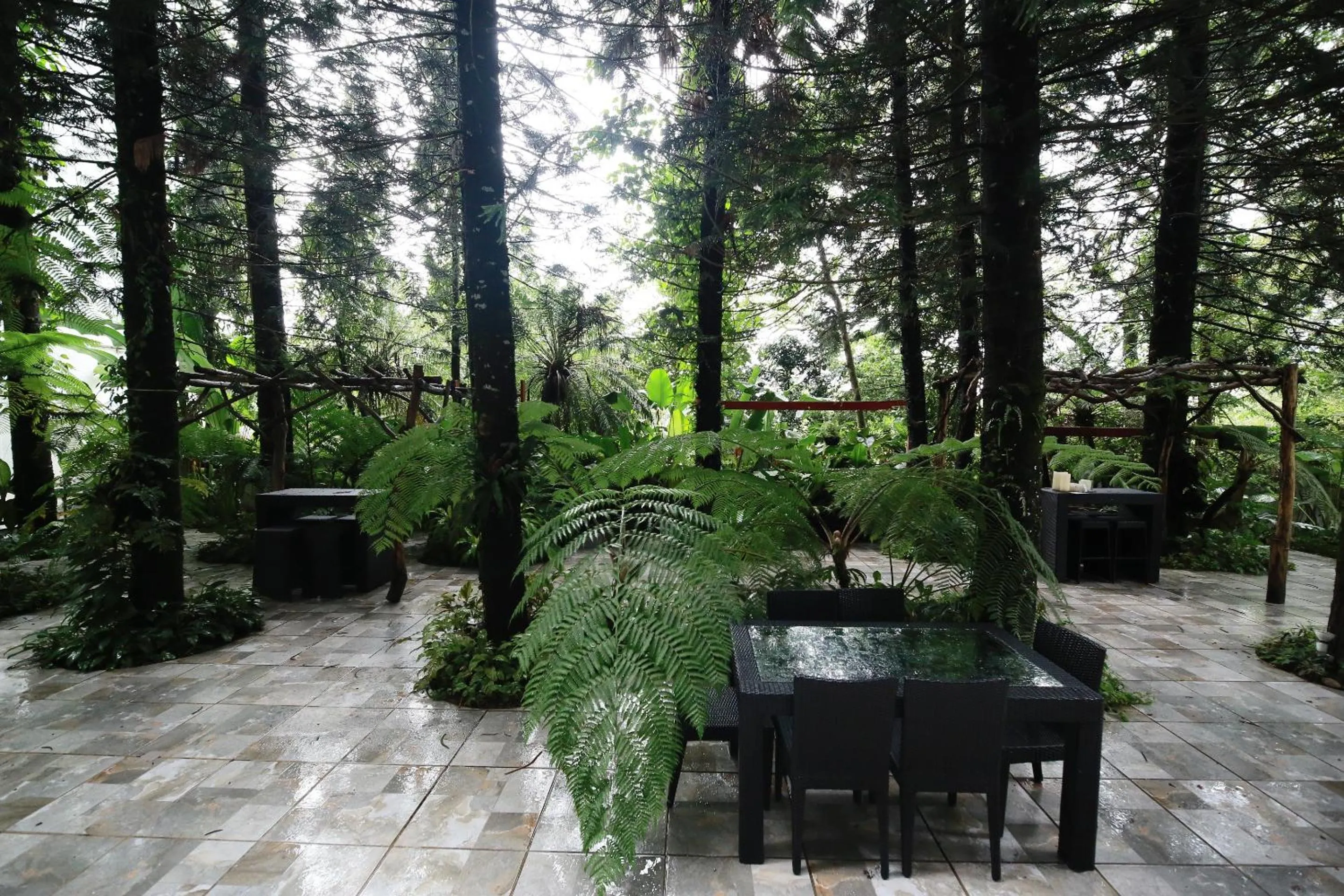 Patio in La Bella Boutique Hotel