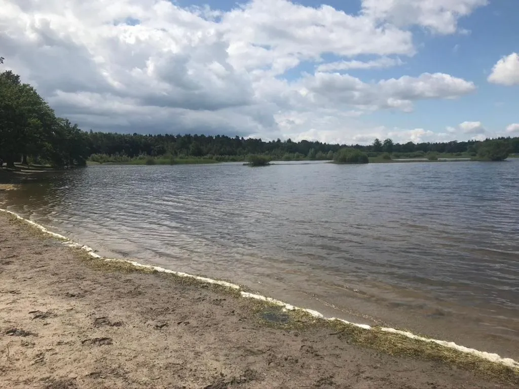 Nearby landmark in B & B De Stijl