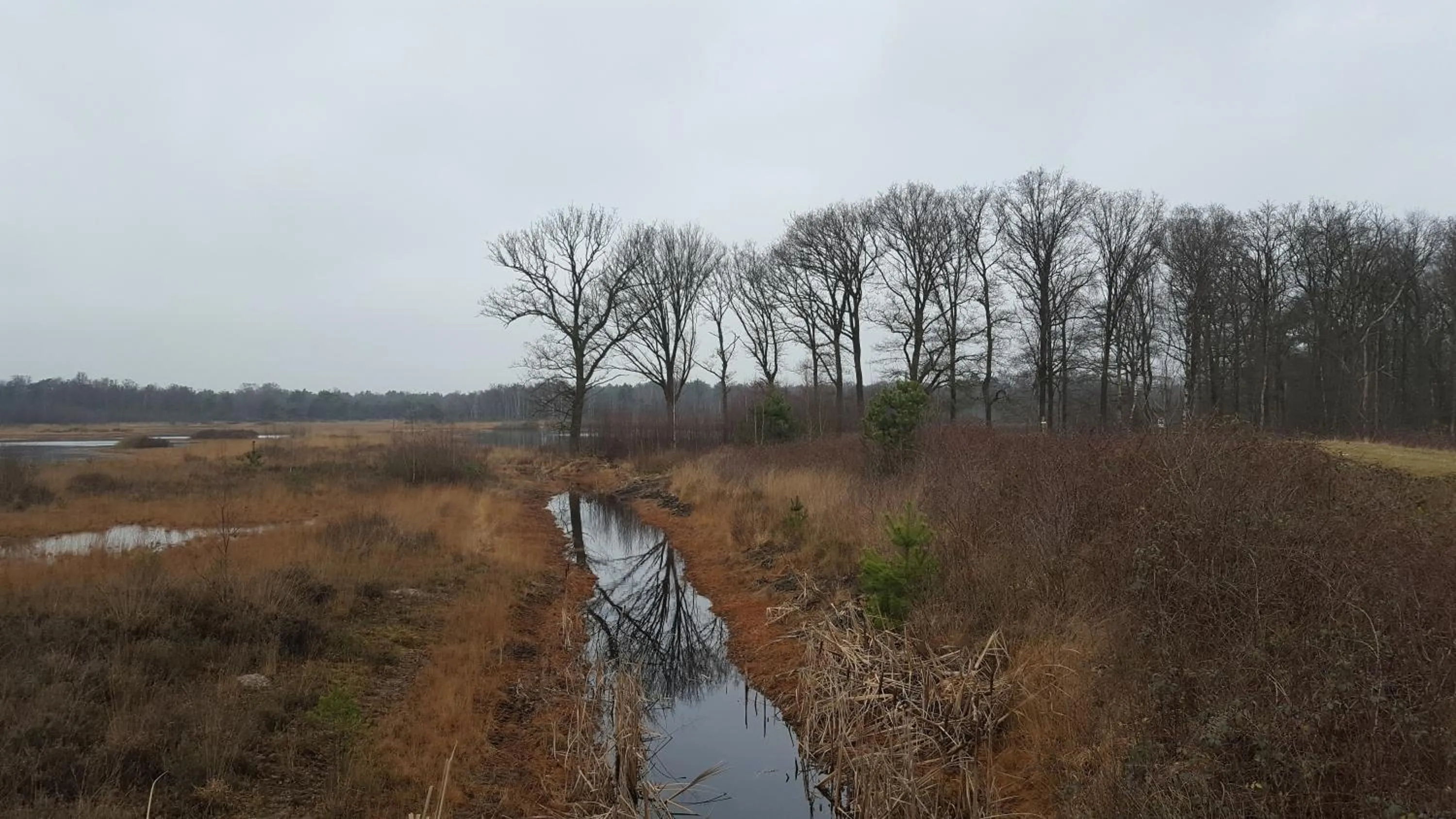 Nearby landmark in B & B De Stijl