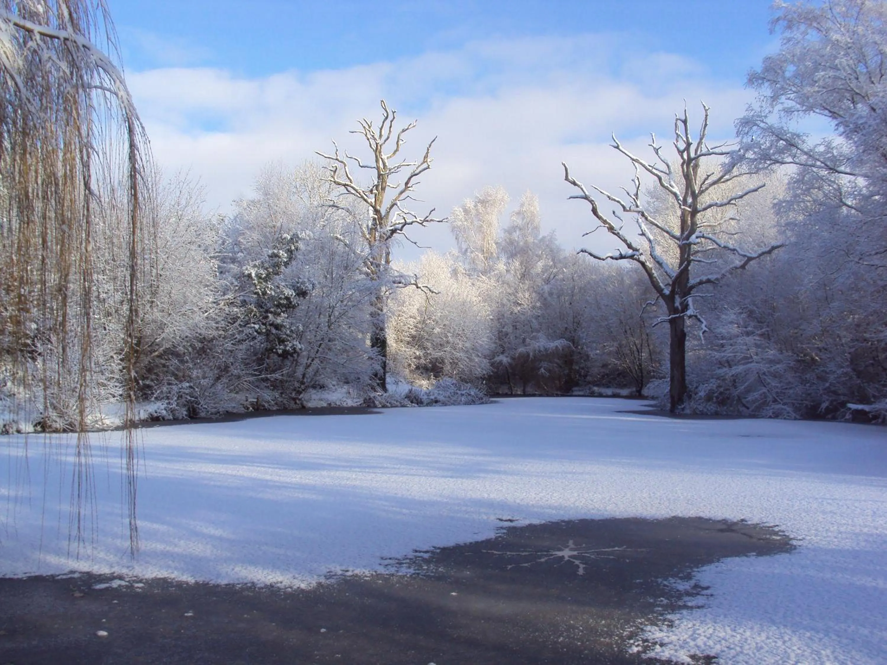 View (from property/room) in New Forest Lodges