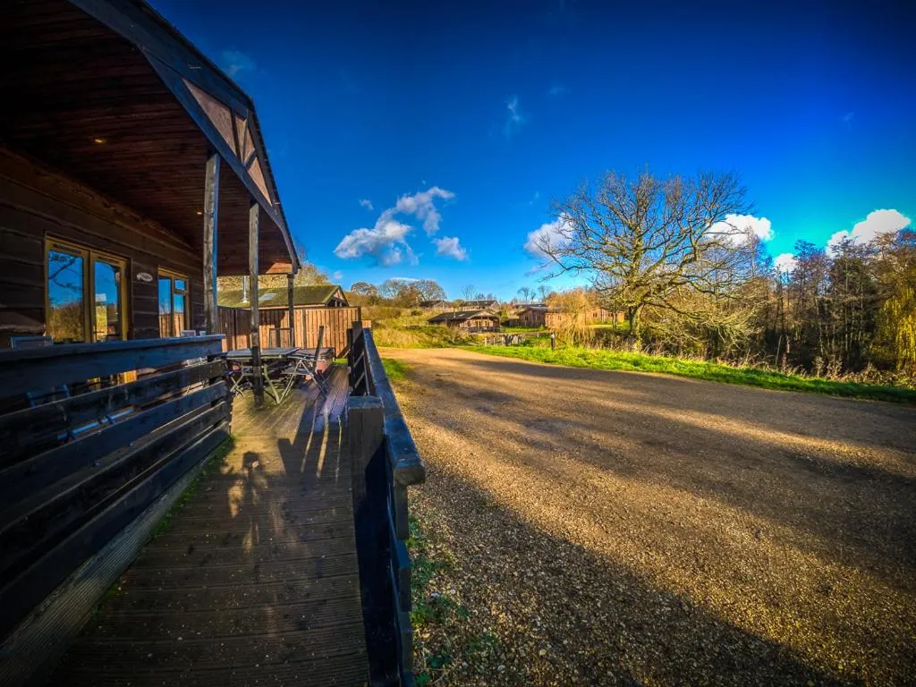 View (from property/room) in New Forest Lodges