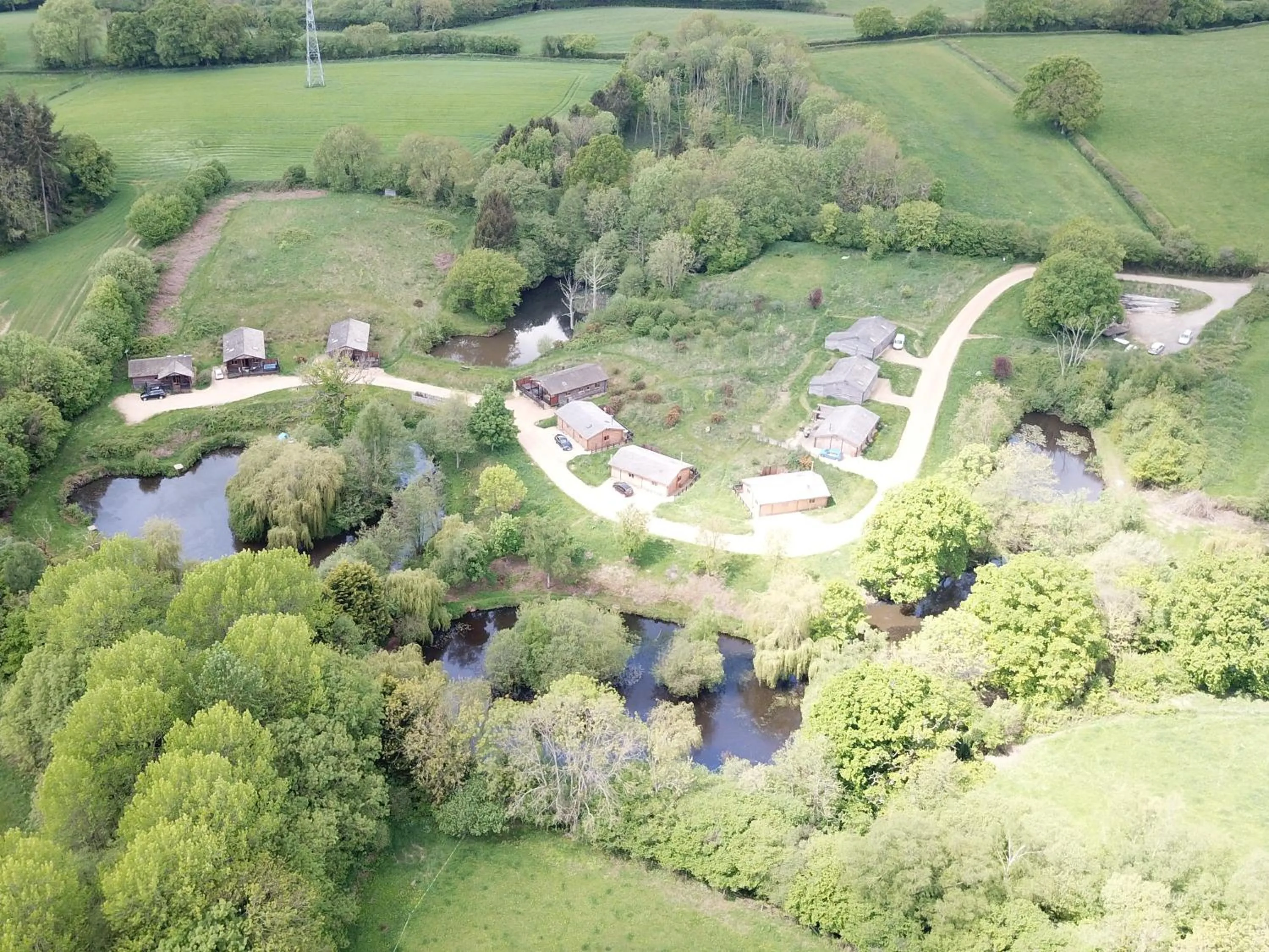 View (from property/room) in New Forest Lodges