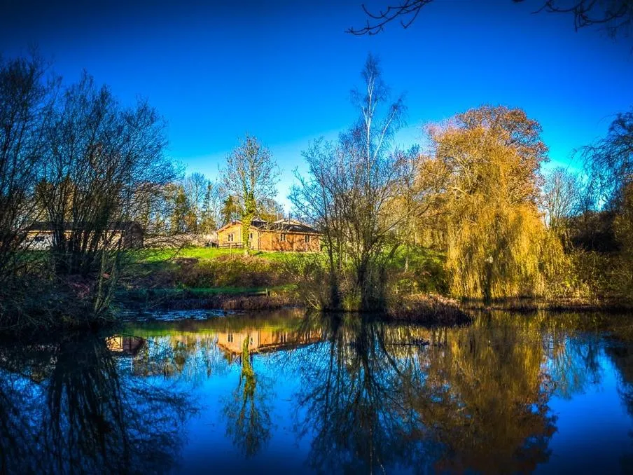 View (from property/room) in New Forest Lodges
