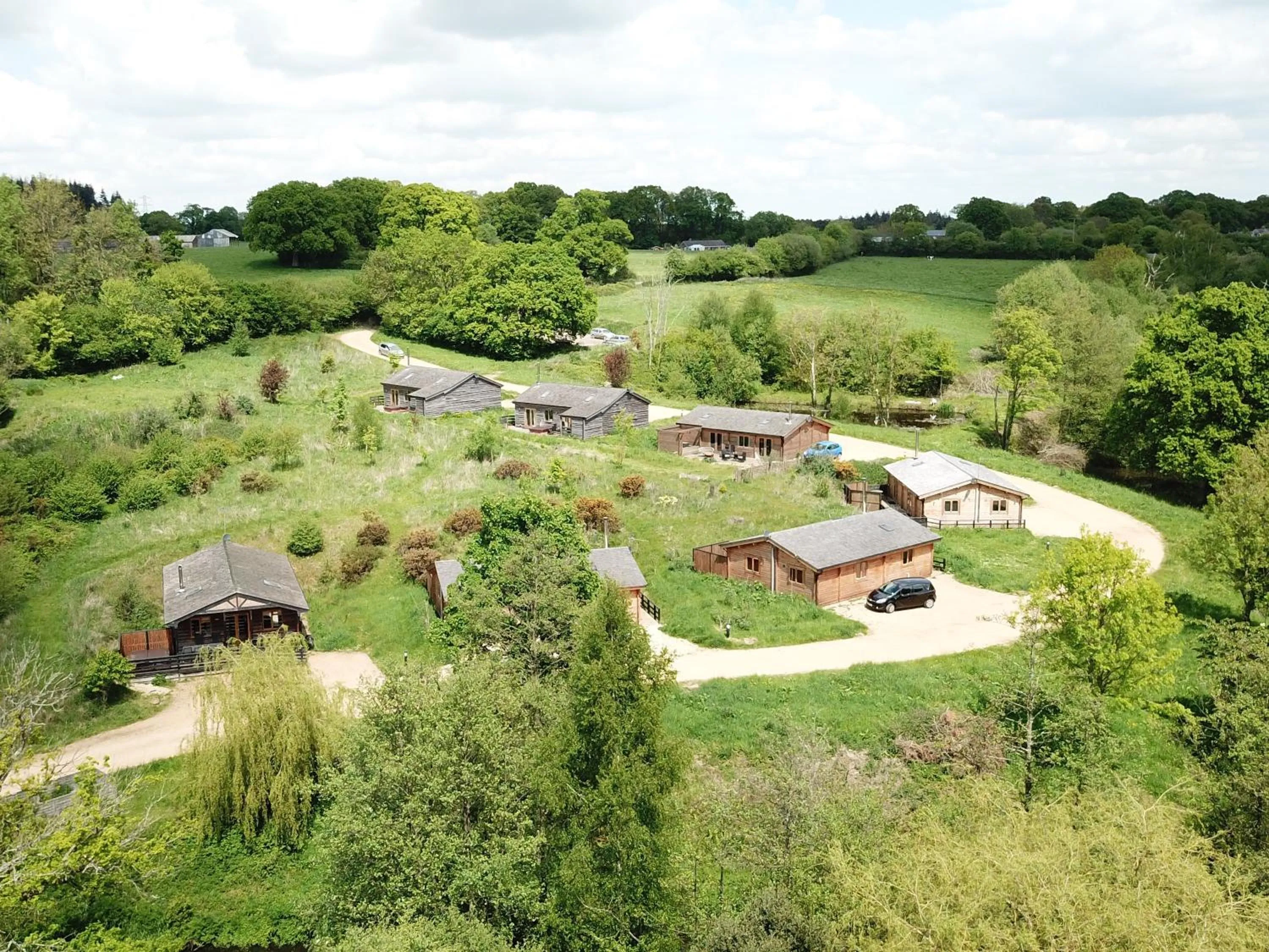 View (from property/room) in New Forest Lodges