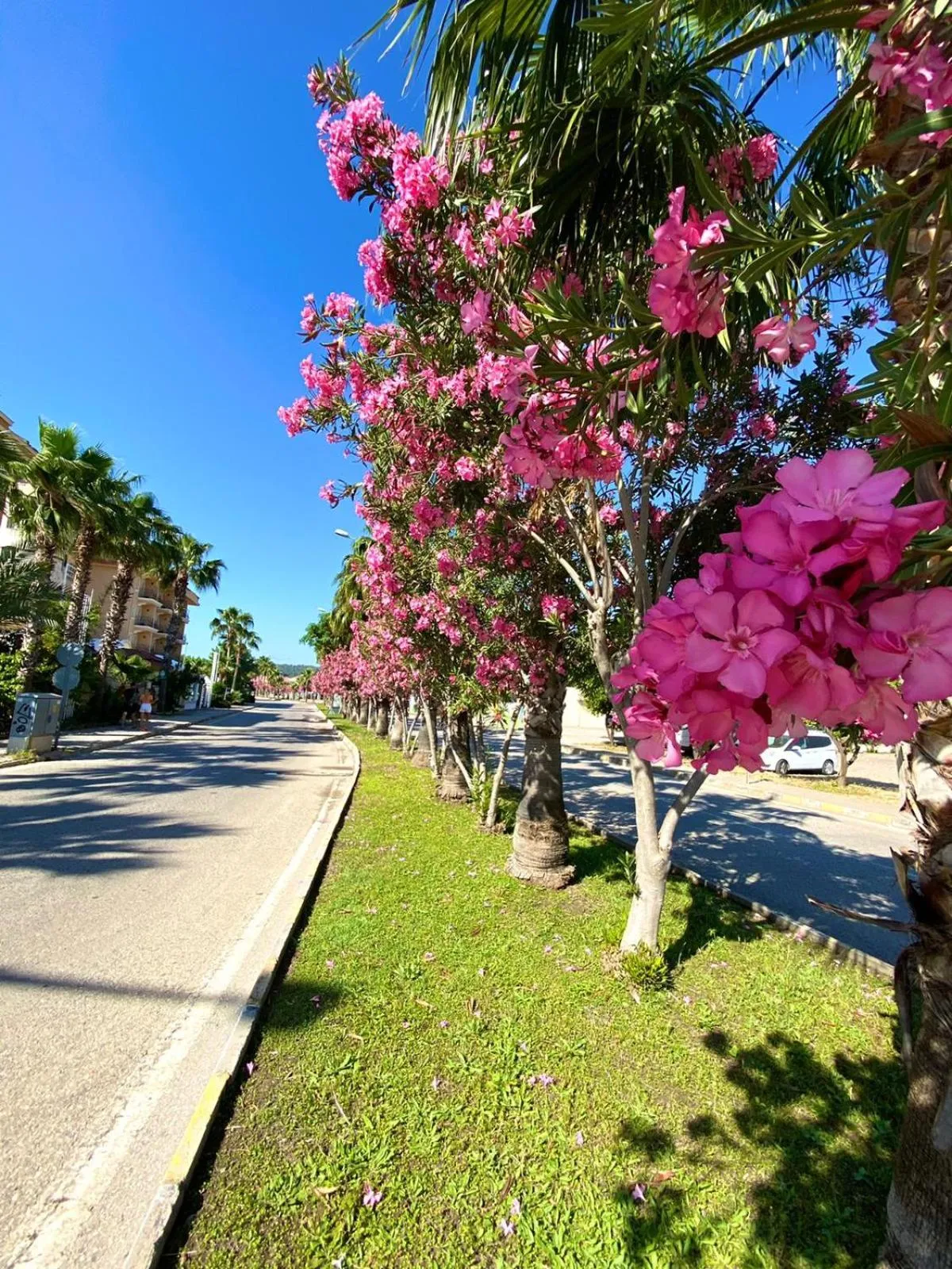 Spring in Istanbul Beach Hotel - All Inclusive