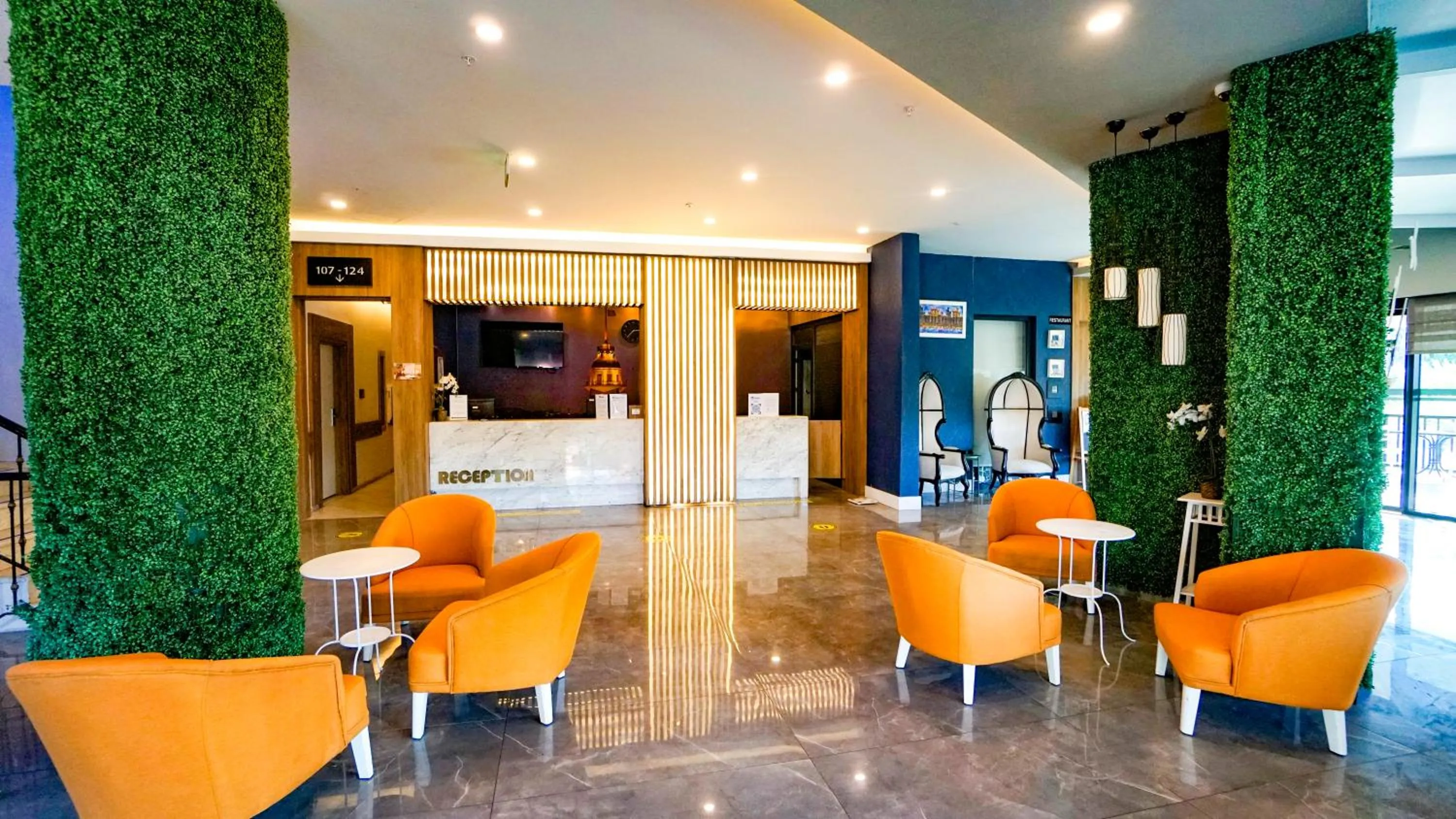 TV and multimedia in Istanbul Beach Hotel - All Inclusive