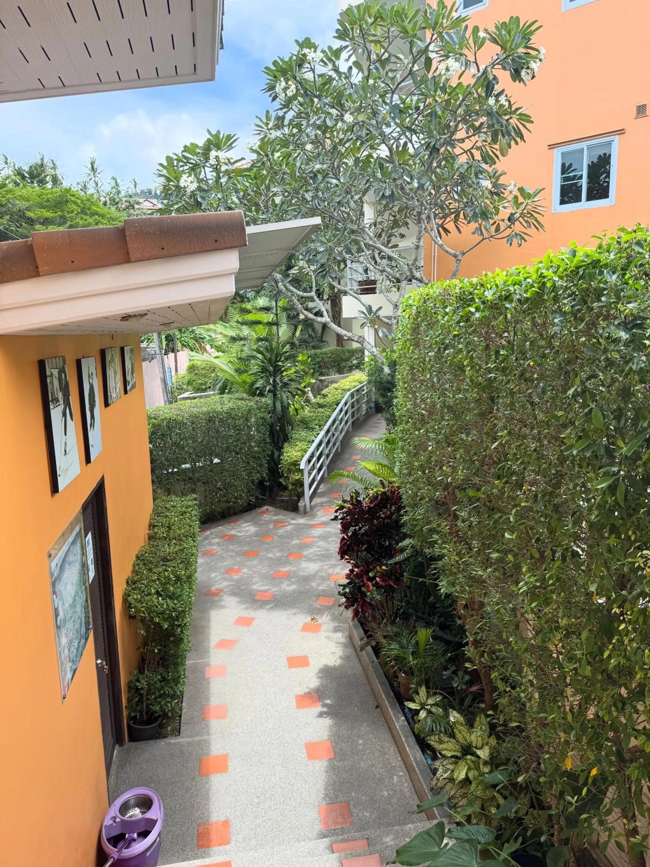 Garden in Chaweng Noi Residence