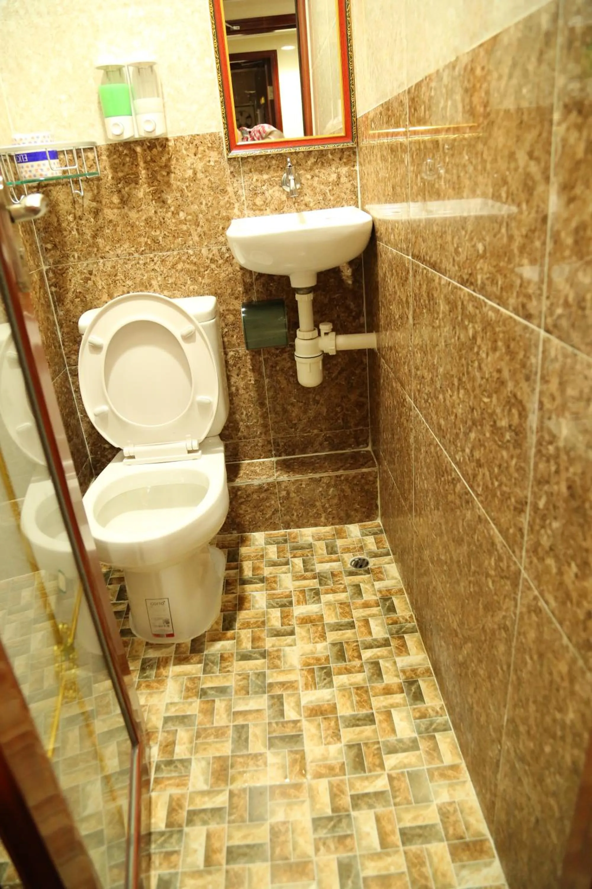 Toilet in Australian Guest House