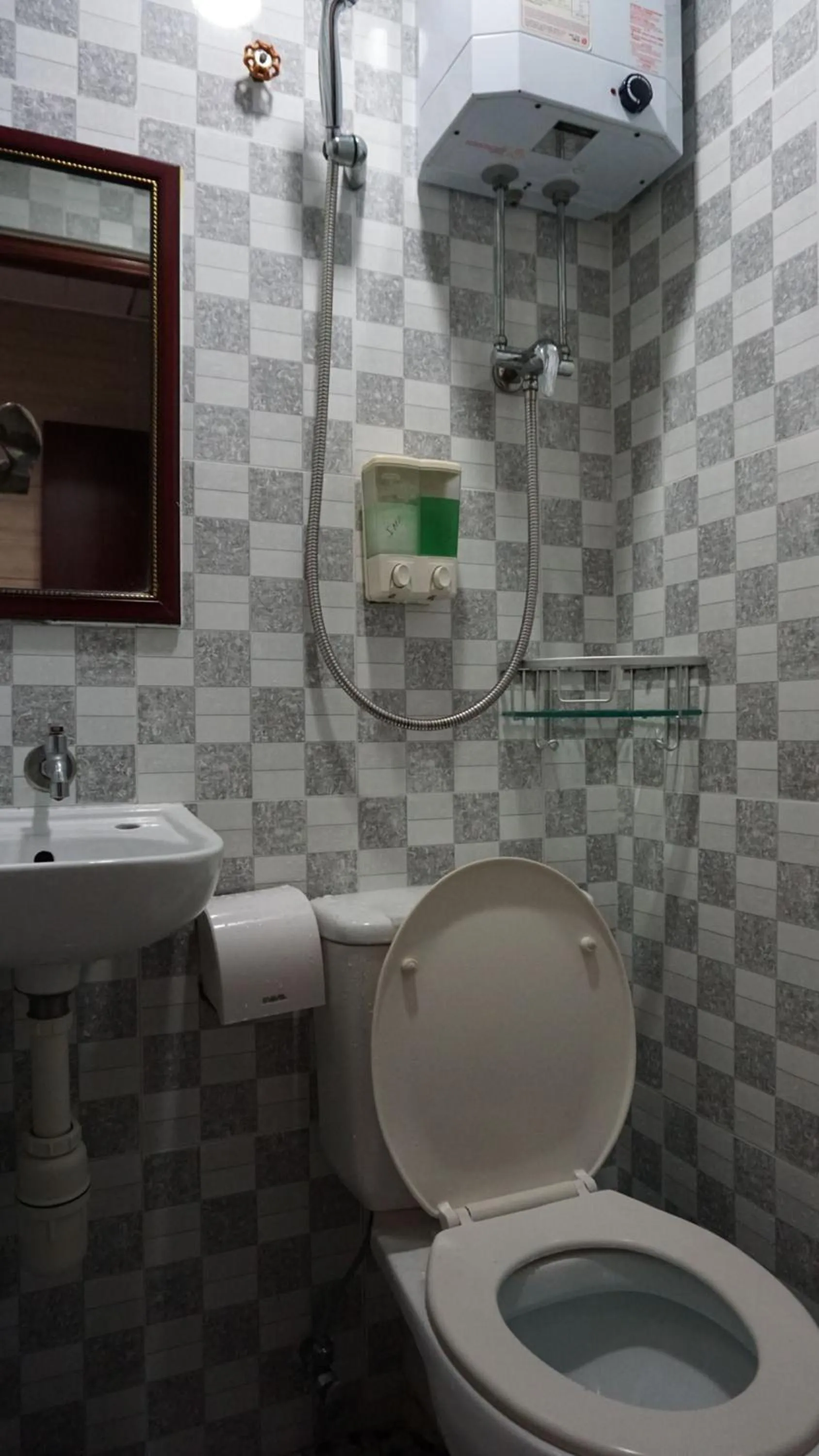 Toilet in Australian Guest House
