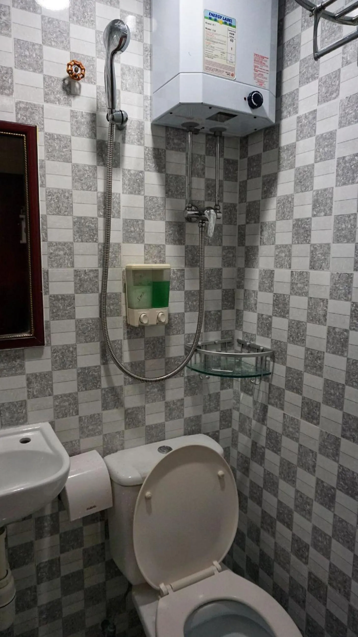 Toilet in Australian Guest House