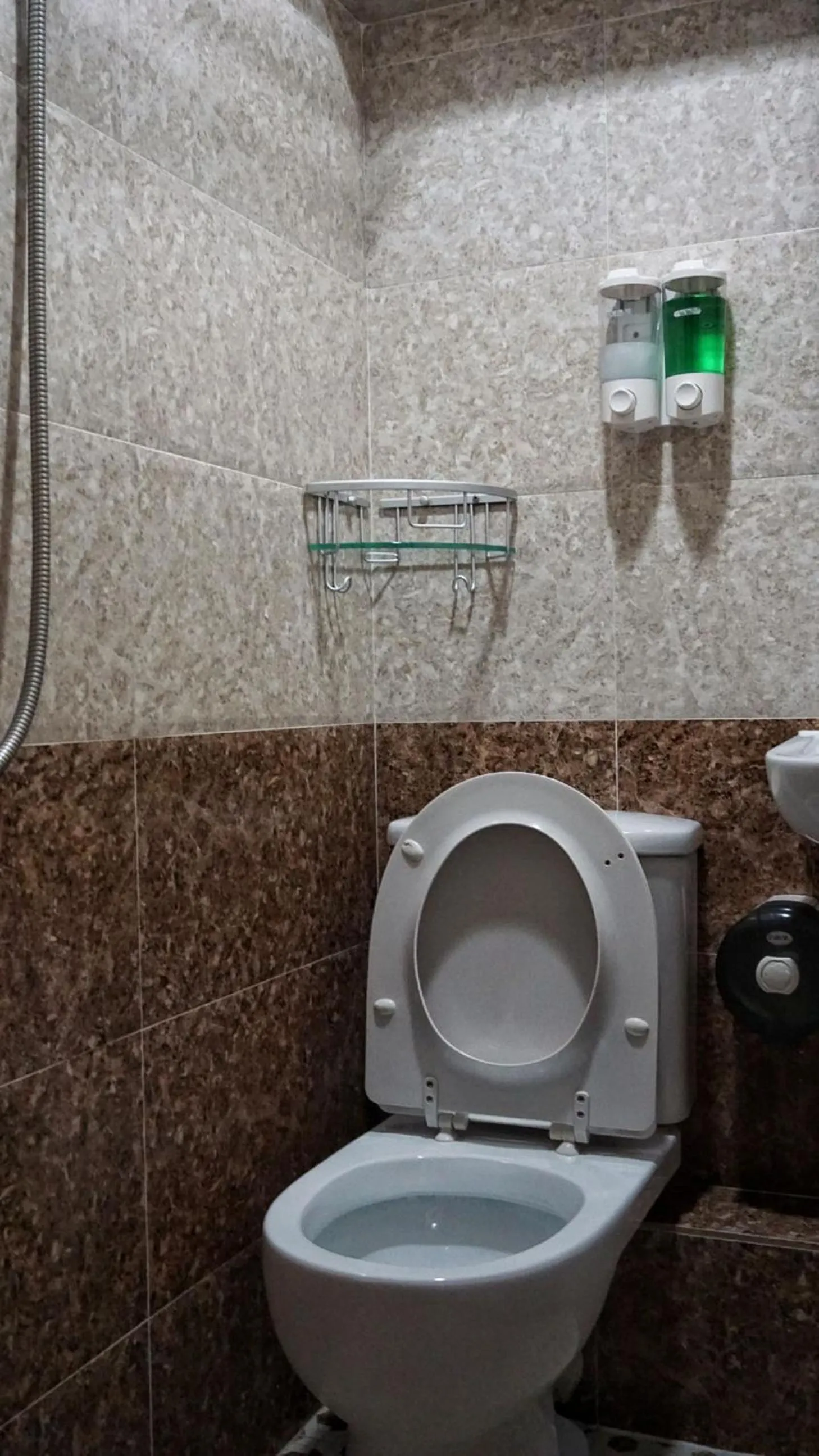 Toilet in Australian Guest House